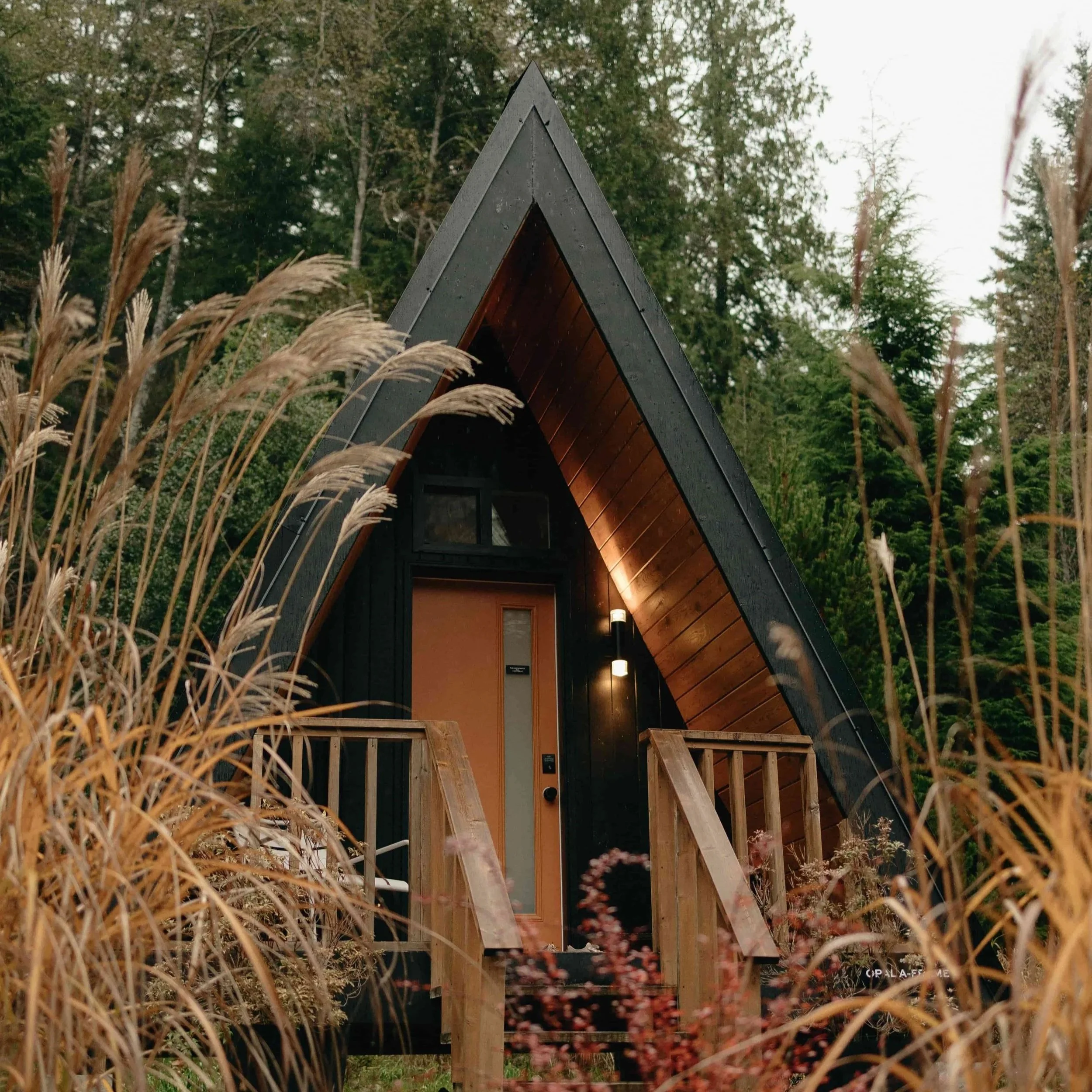 meditation retreats near me