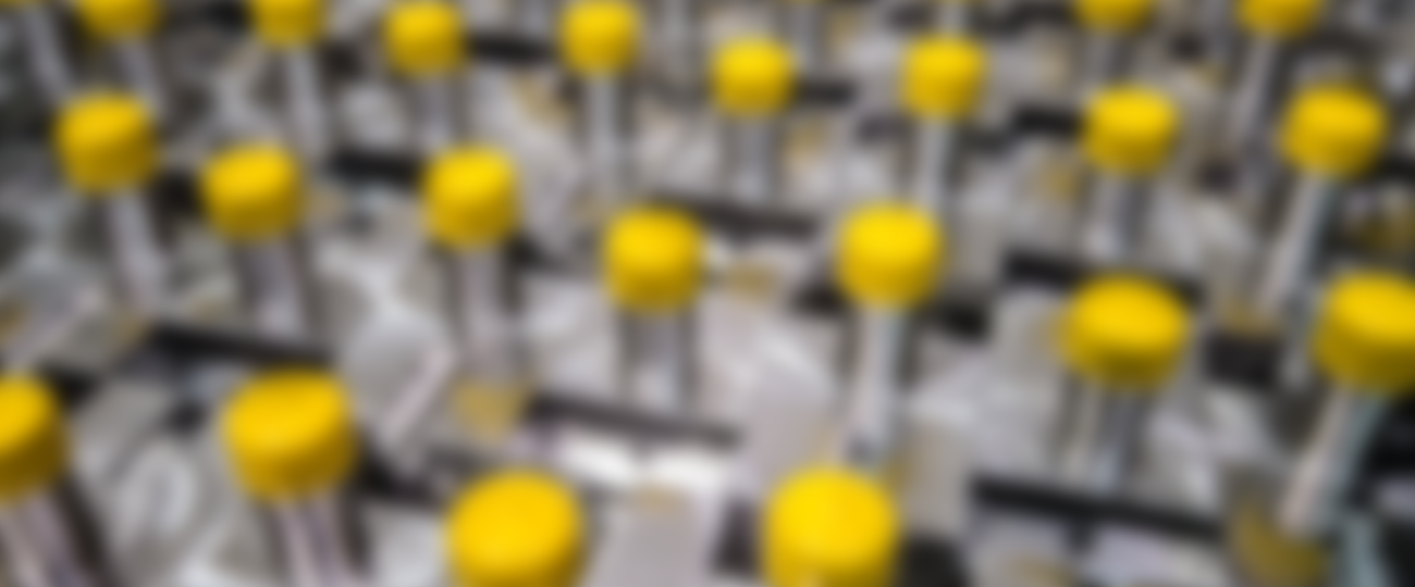 yellow-dots.png