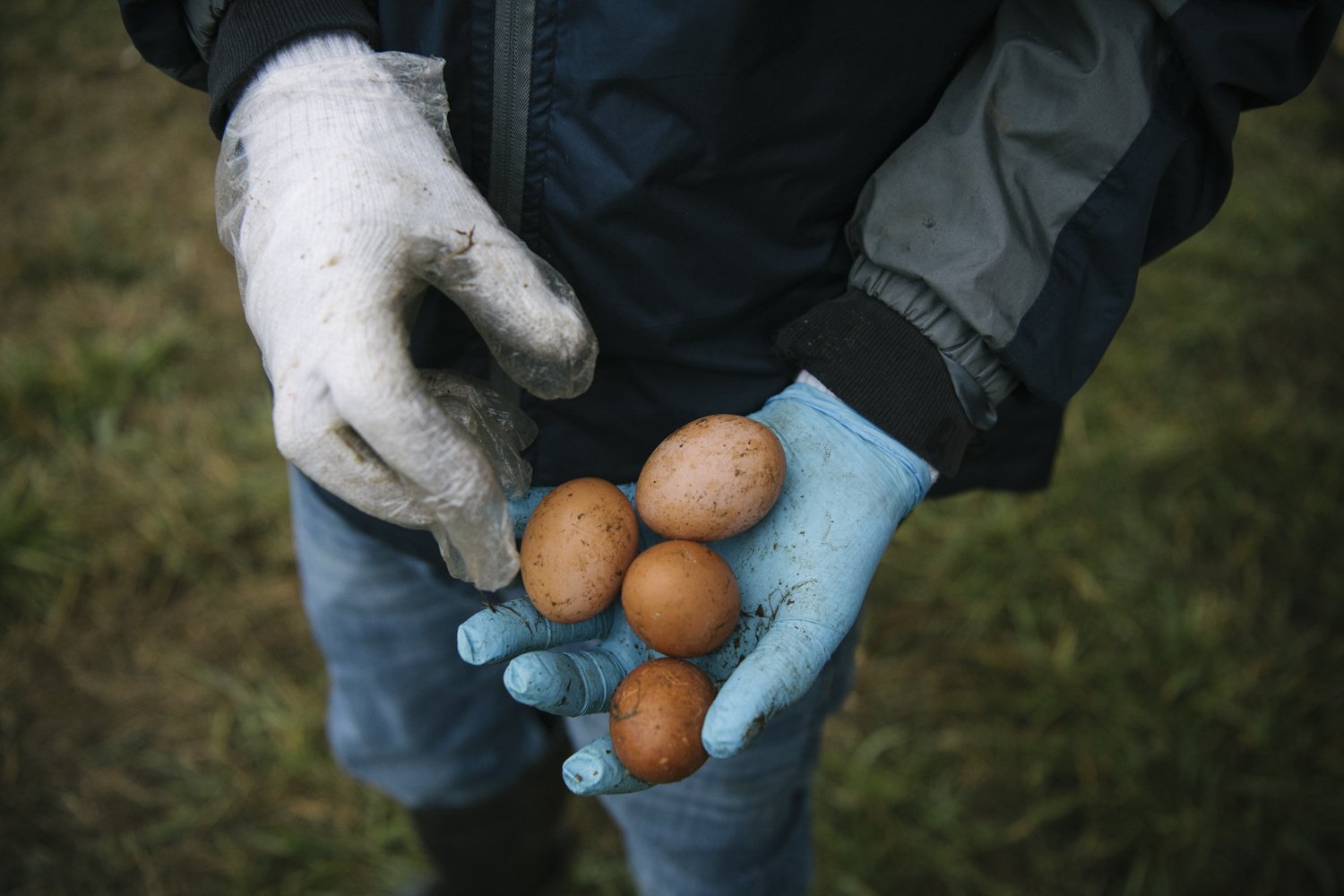 WEB_WORKINGLANDS-15.jpg