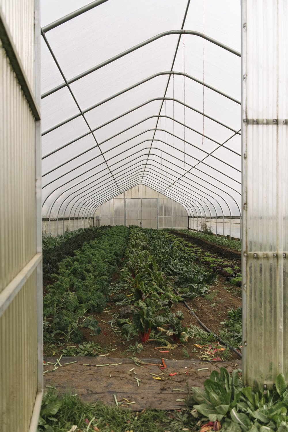 WEB_WORKINGLANDS-56.jpg