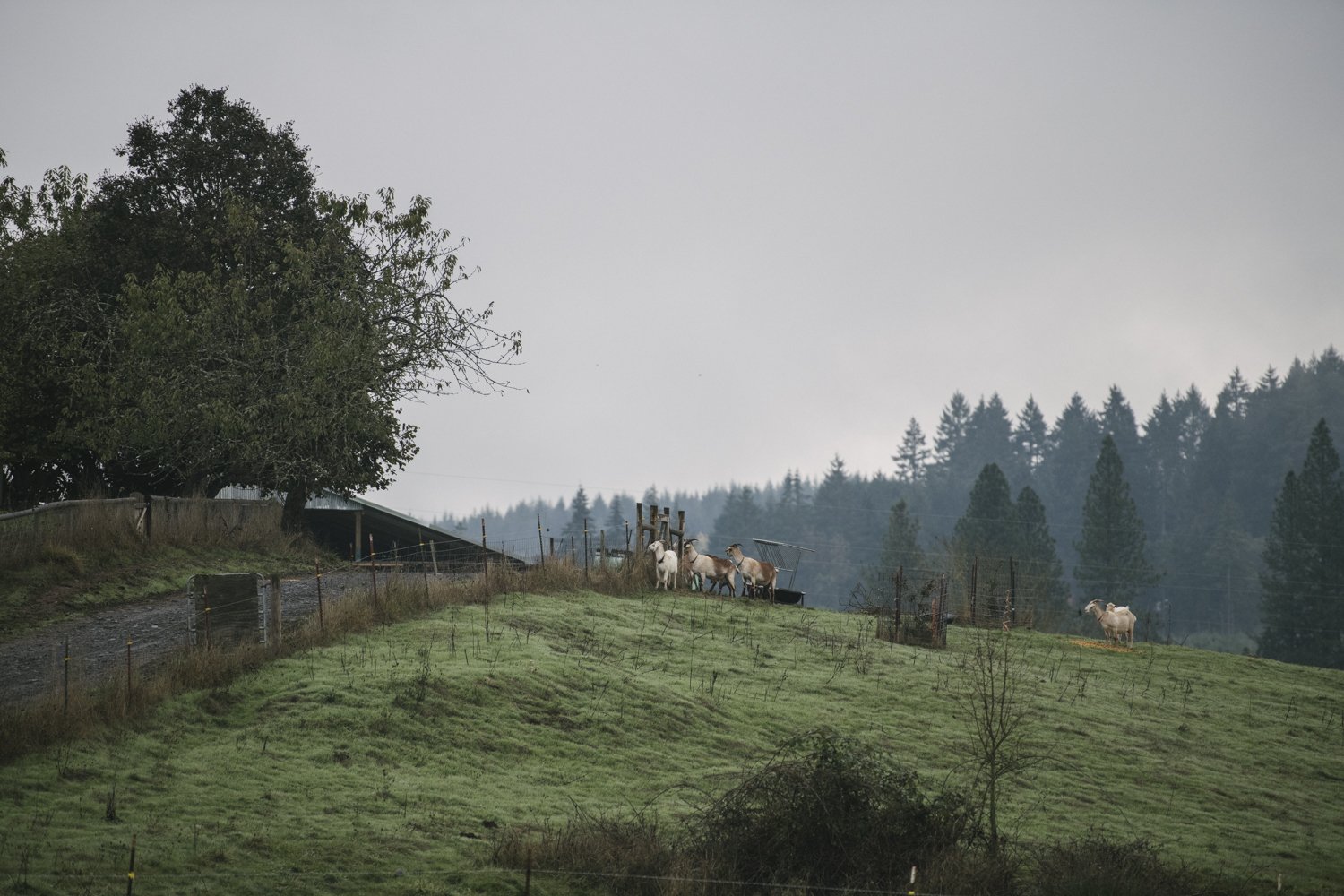 WEB_WORKINGLANDS-22.jpg