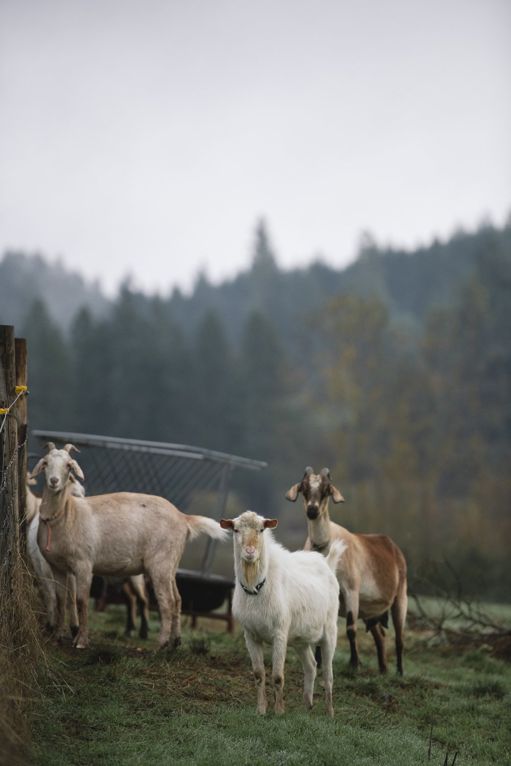 WEB_WORKINGLANDS-23.jpg