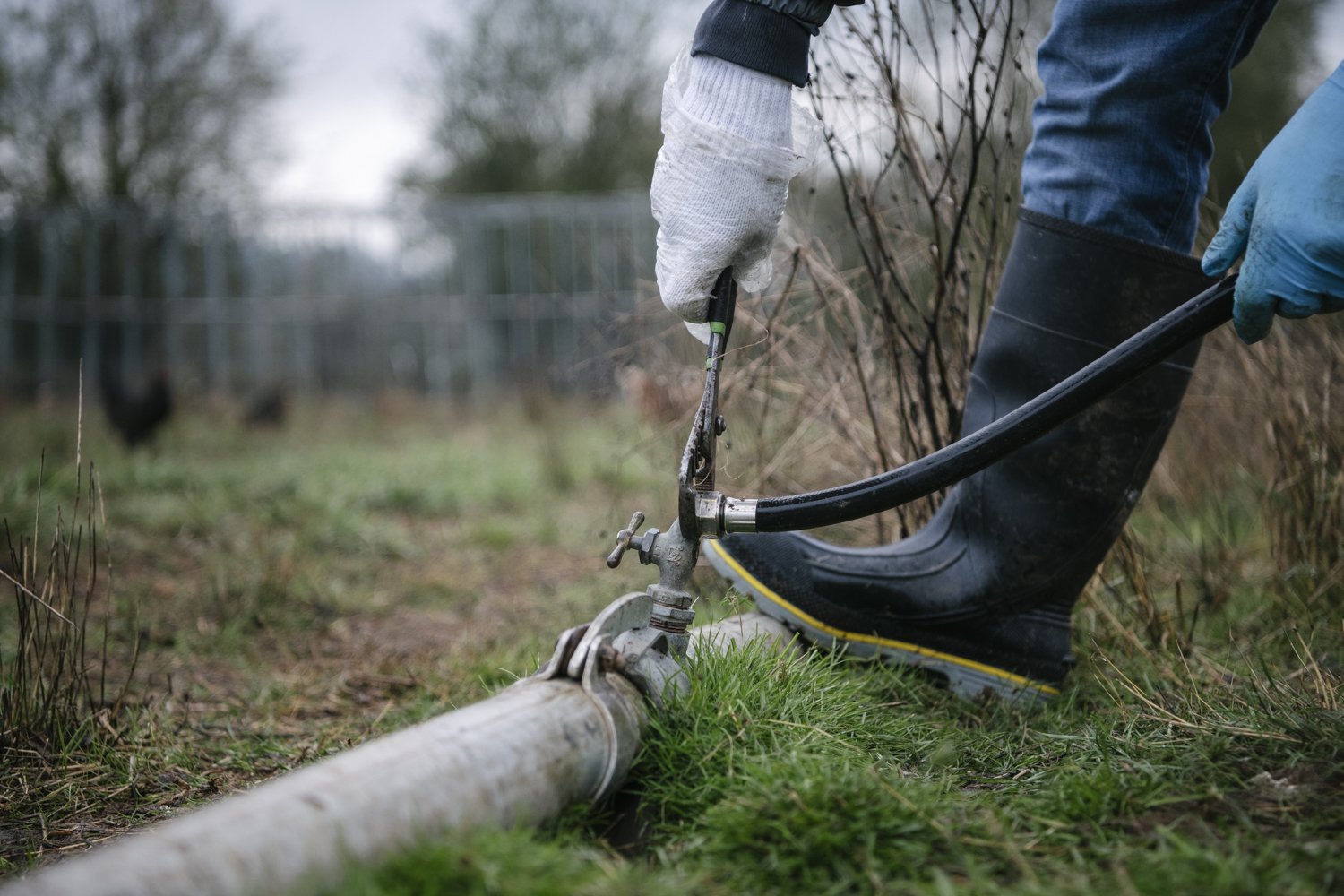 WEB_WORKINGLANDS-21.jpg