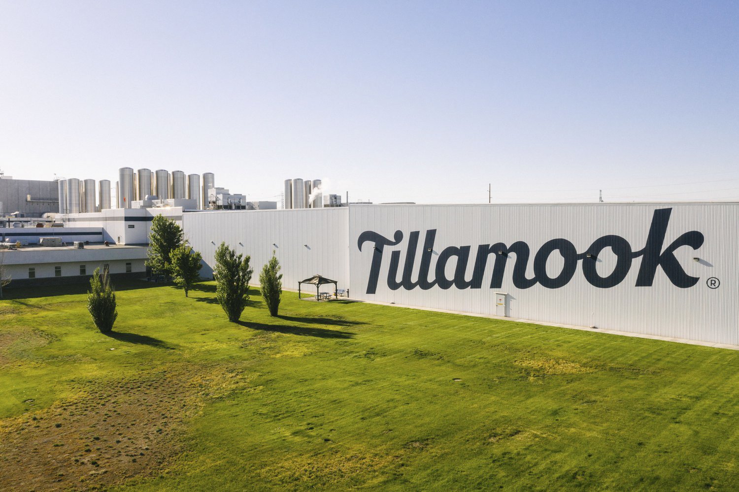 WEB_TILLAMOOK-1.jpg
