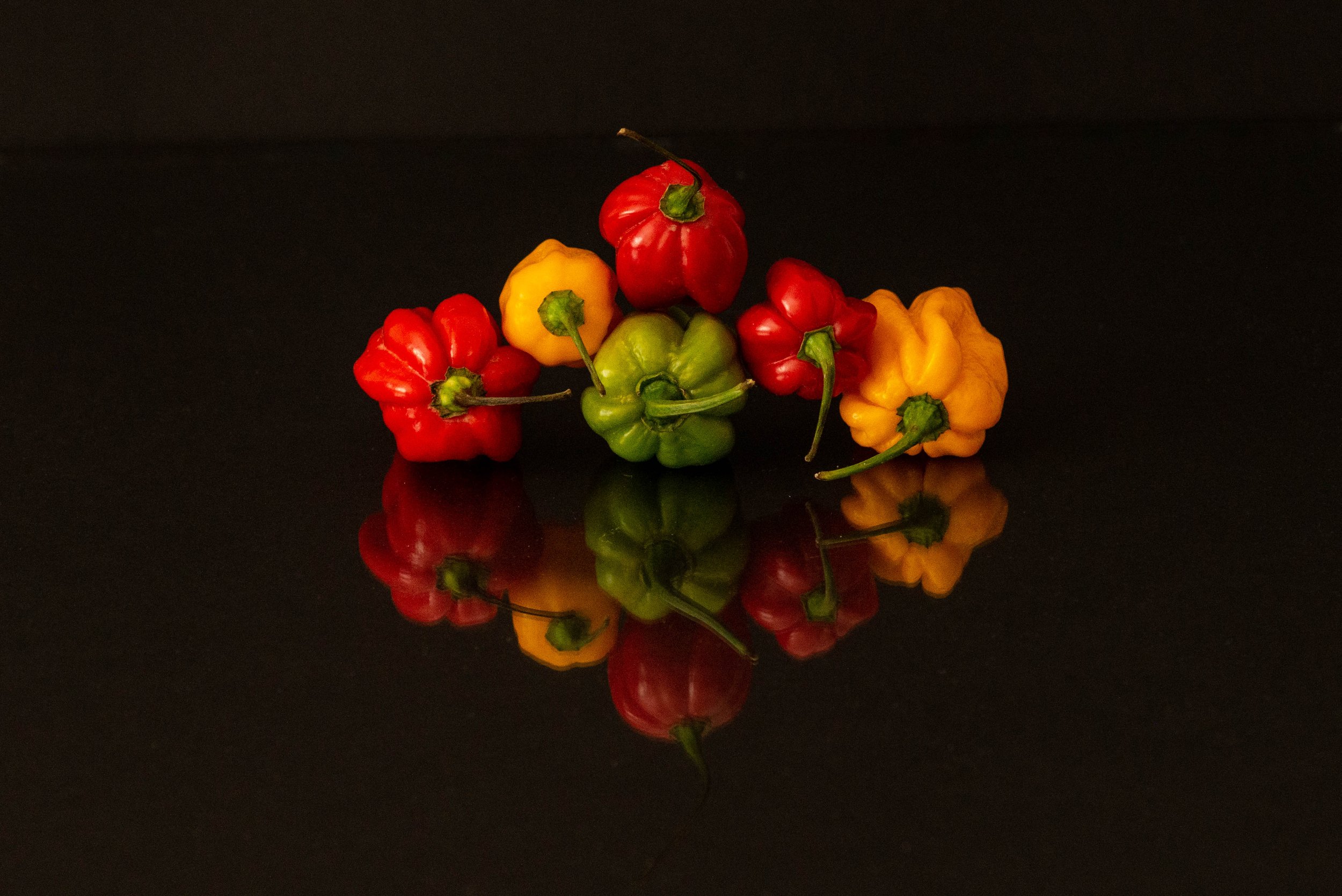 Meet the Peppers-6356.jpg