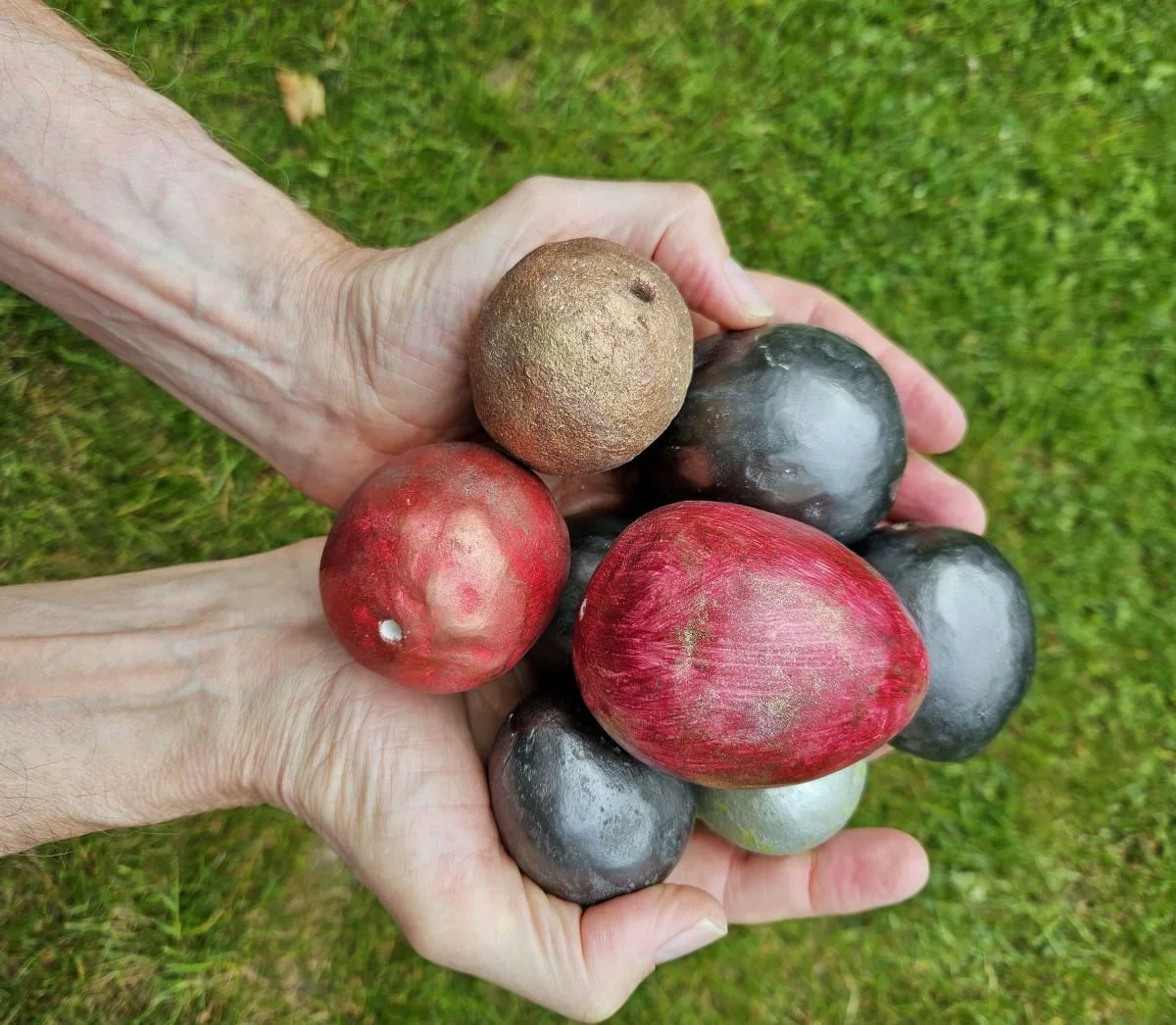 Hand full med ägg_W.jpg