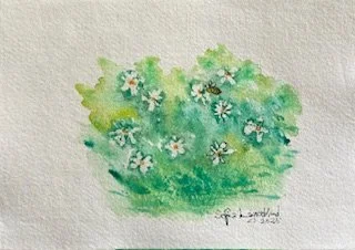 image0 (1).jpeg