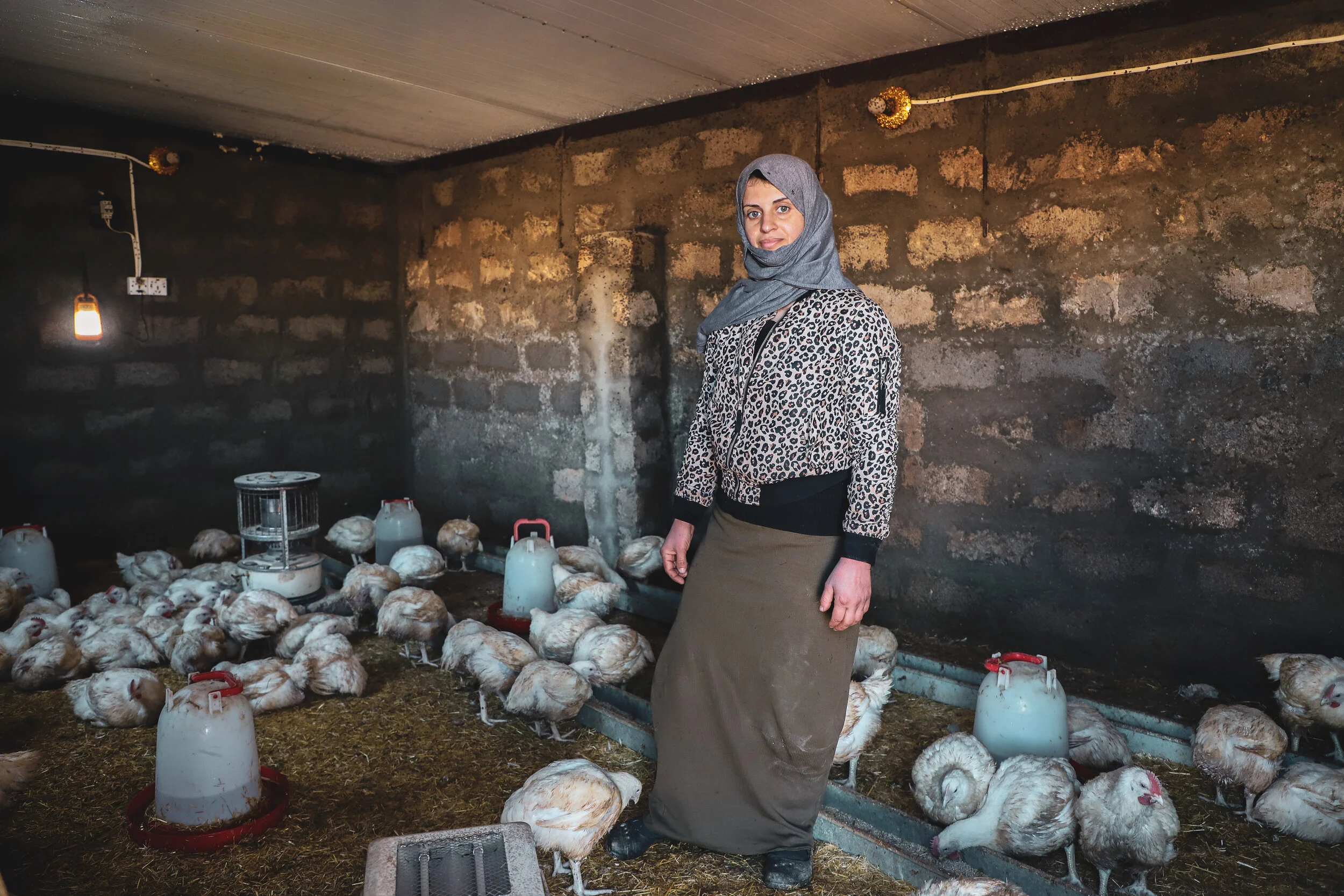 Yazidi stands in a stone room among chickens and poultry business supplies.