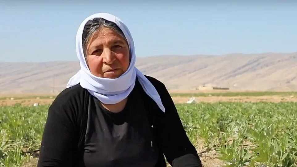 NI Women's Farming Project - Zahra's Greenhouse