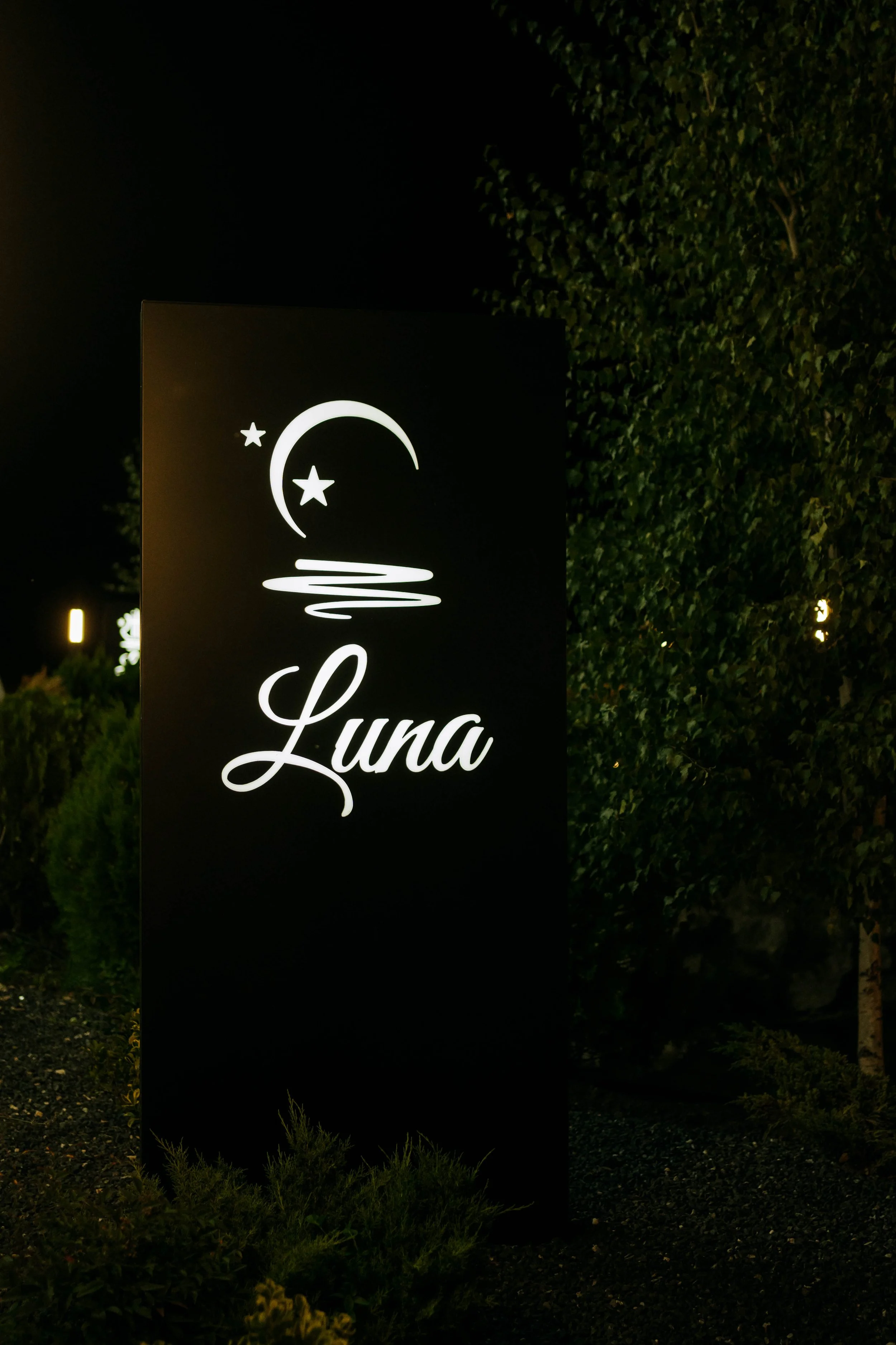 Diana & Valentin (1211).jpg