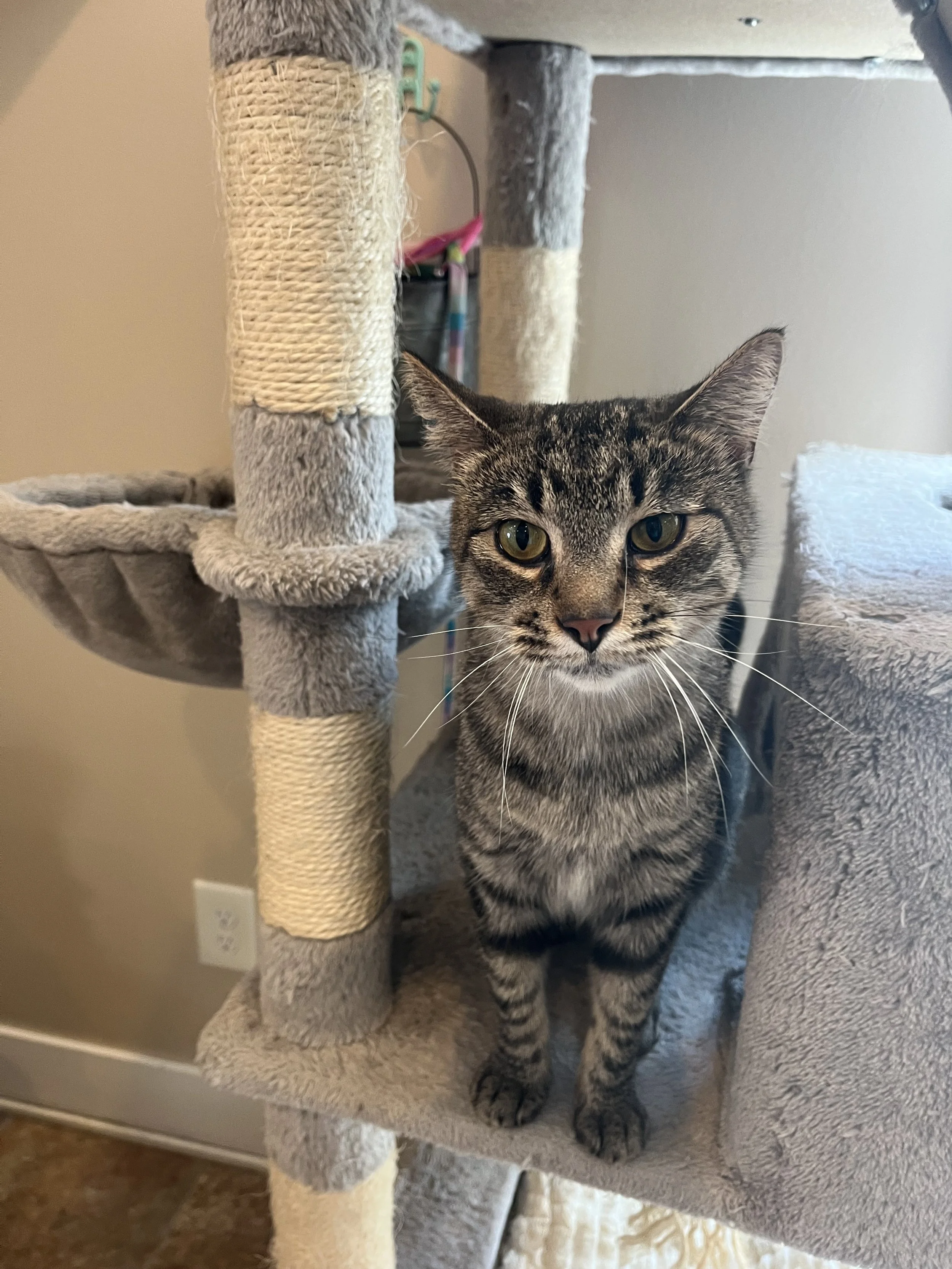 LOUDRED - BONDED BUDDY WITH MEG