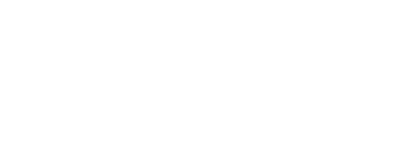Signature Logotype in white