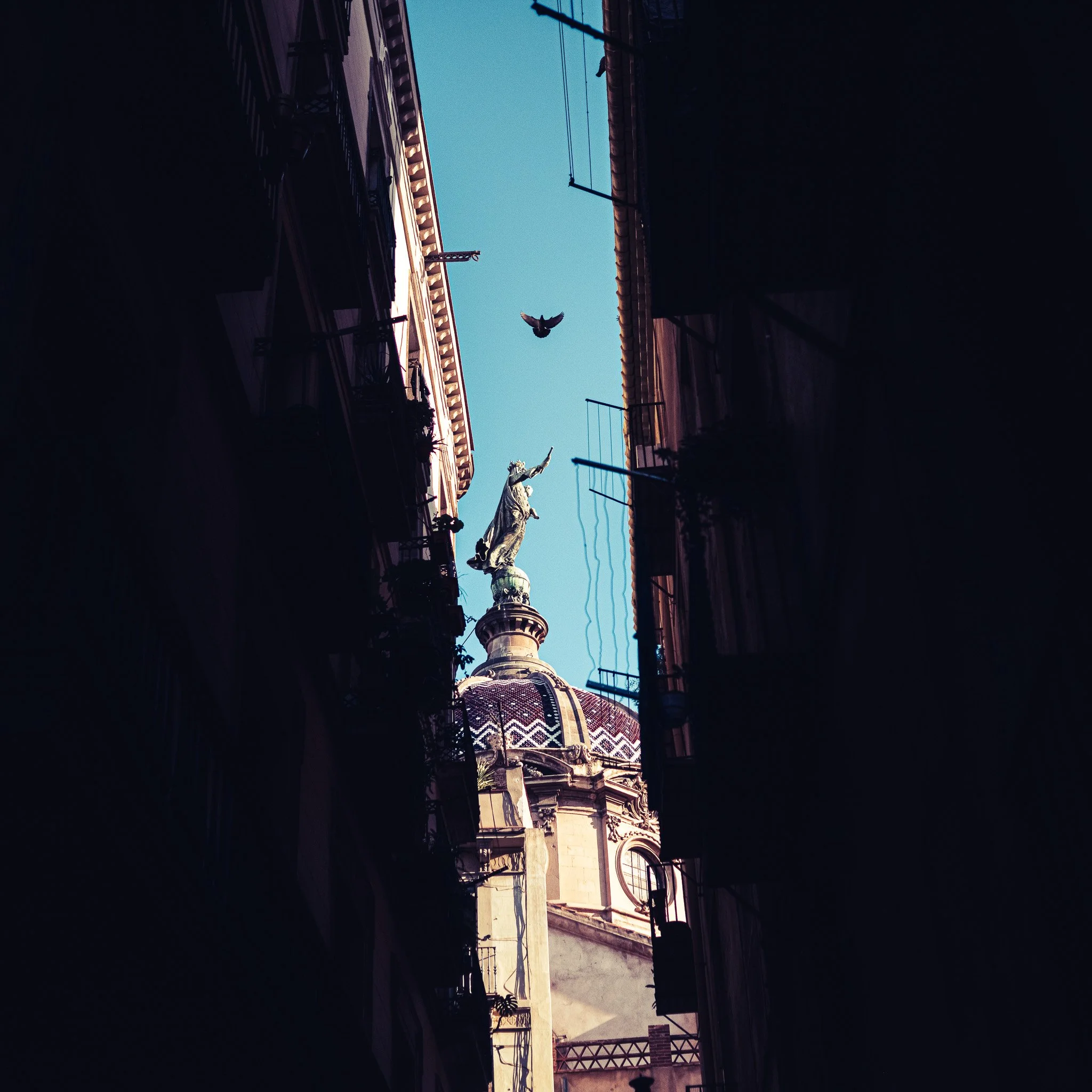 DSC_1166.jpg