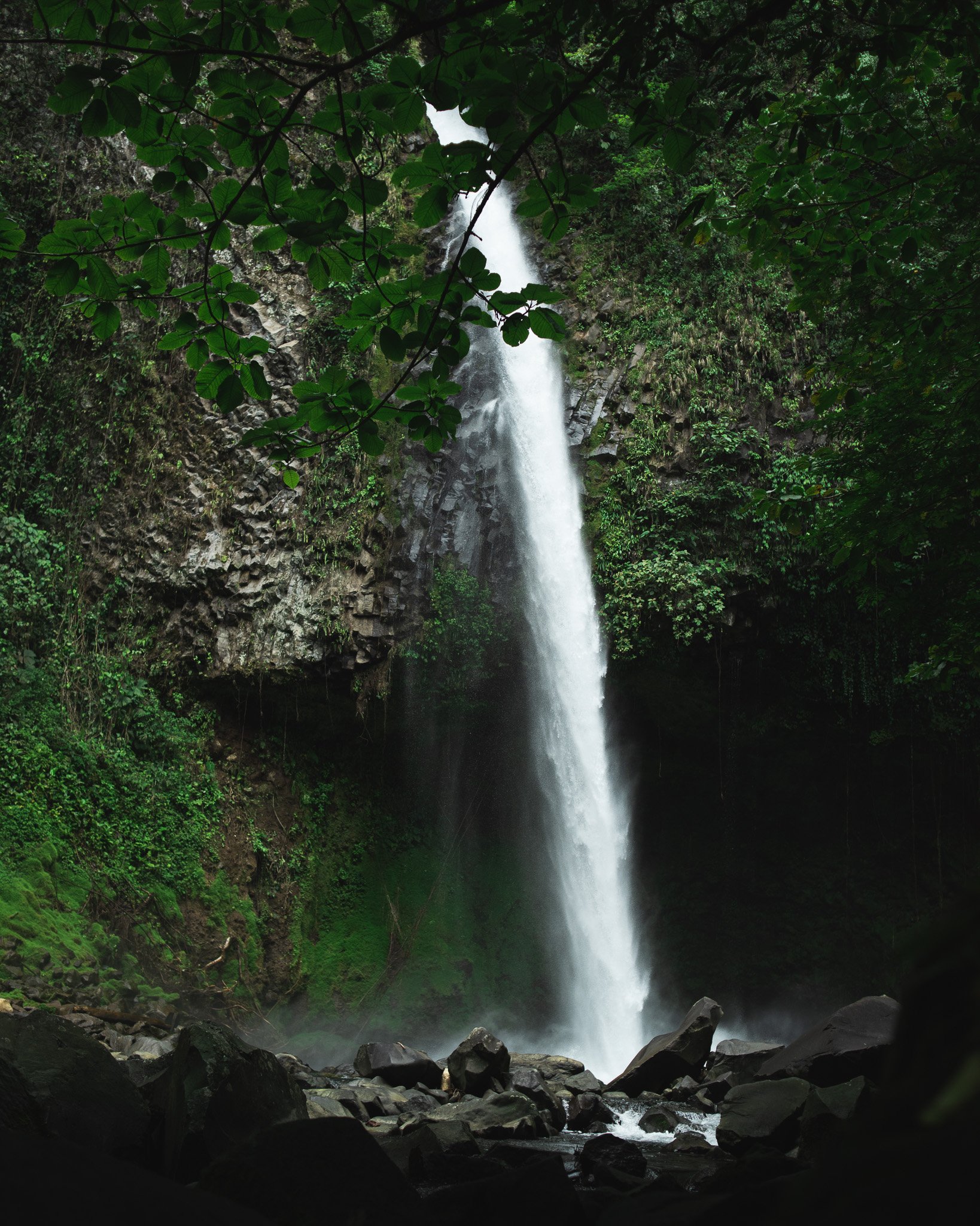 DSC_6432.jpg