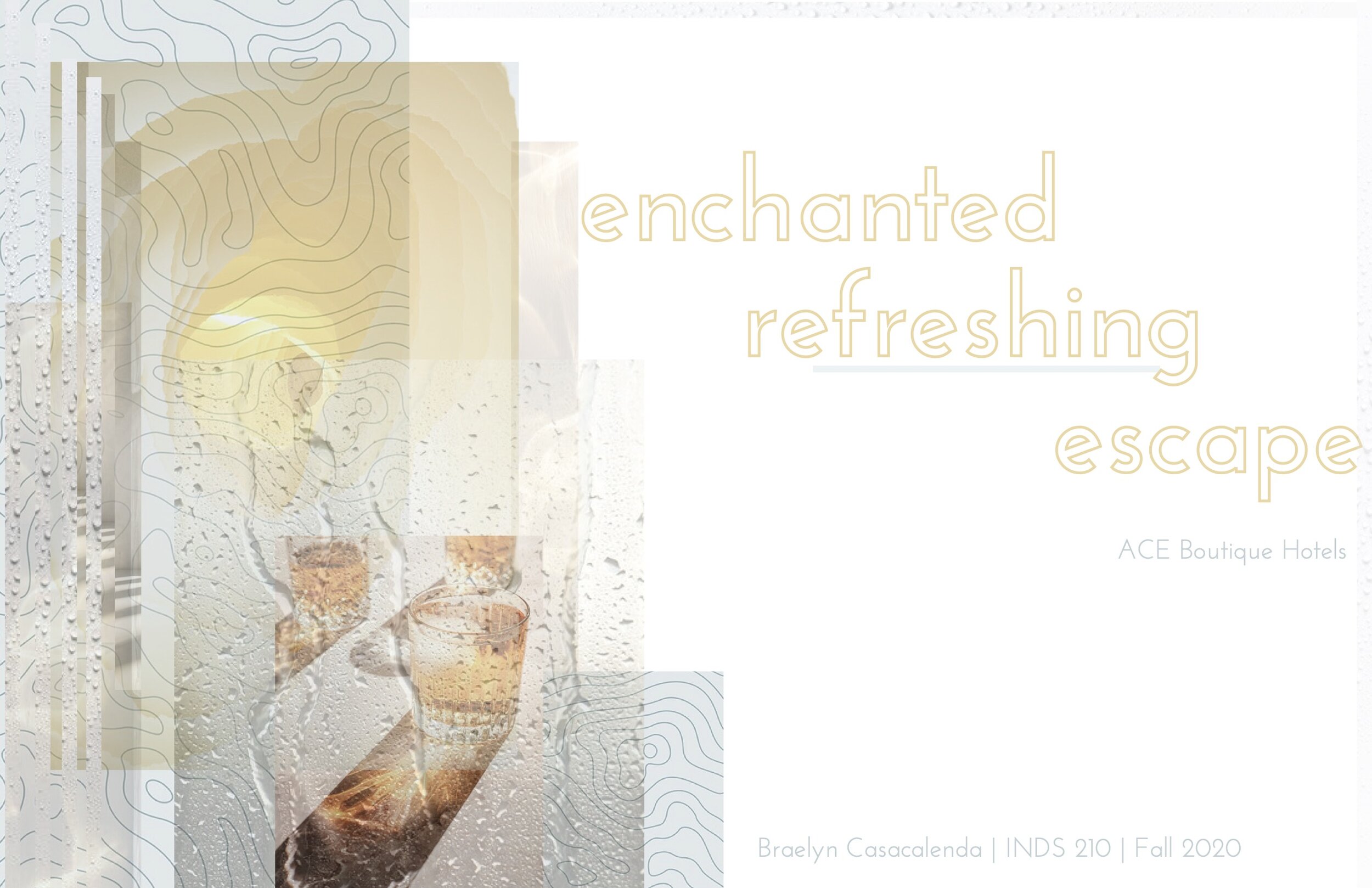 ACE HOTEL PROCESS BOOK .jpg