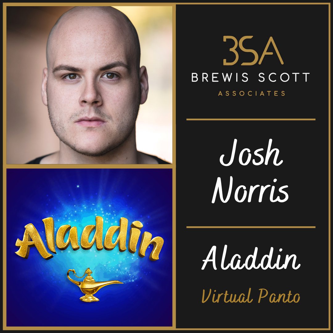 Josh Norris joins the cast of Aladdin