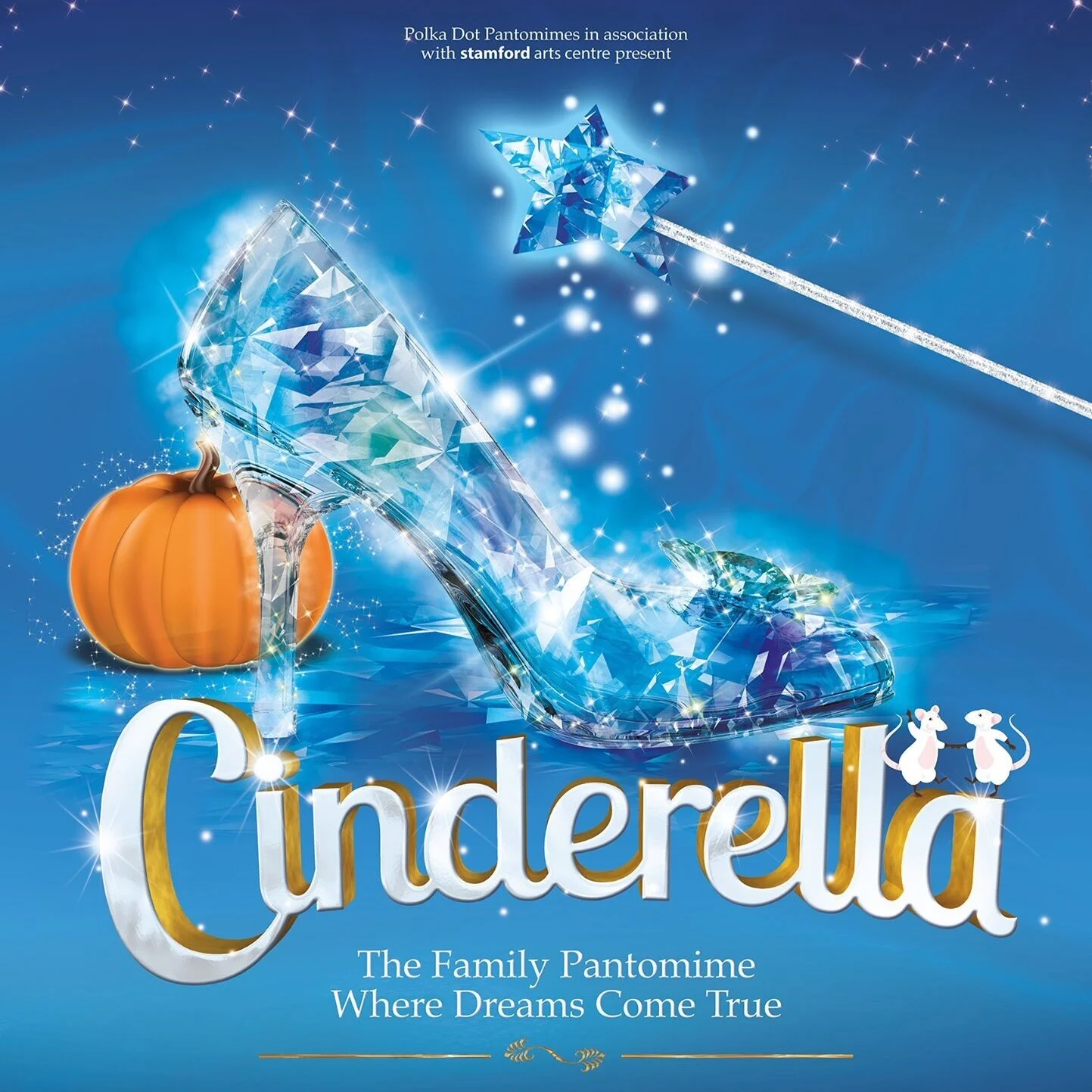Rhian Gill to play Fairy Flustered this Christmas in Cinderella