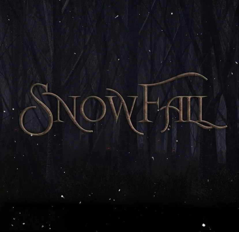 Charlotte Bradley to star in Snowfall