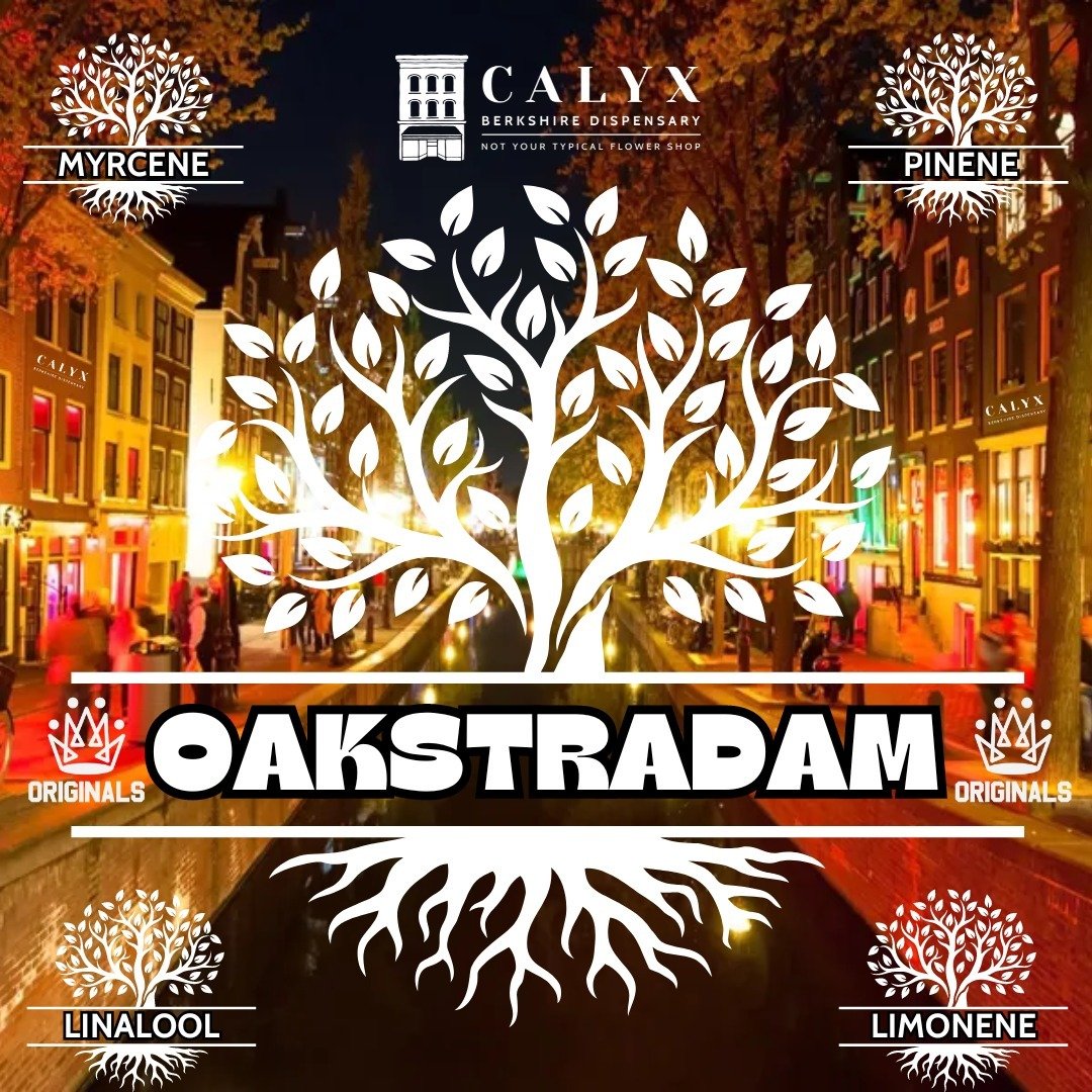 Happy Terp Tuesday from @calyx_berkshire! Today we highlight, Oakstradam, one of our favorites from @originalsfamilyfarms