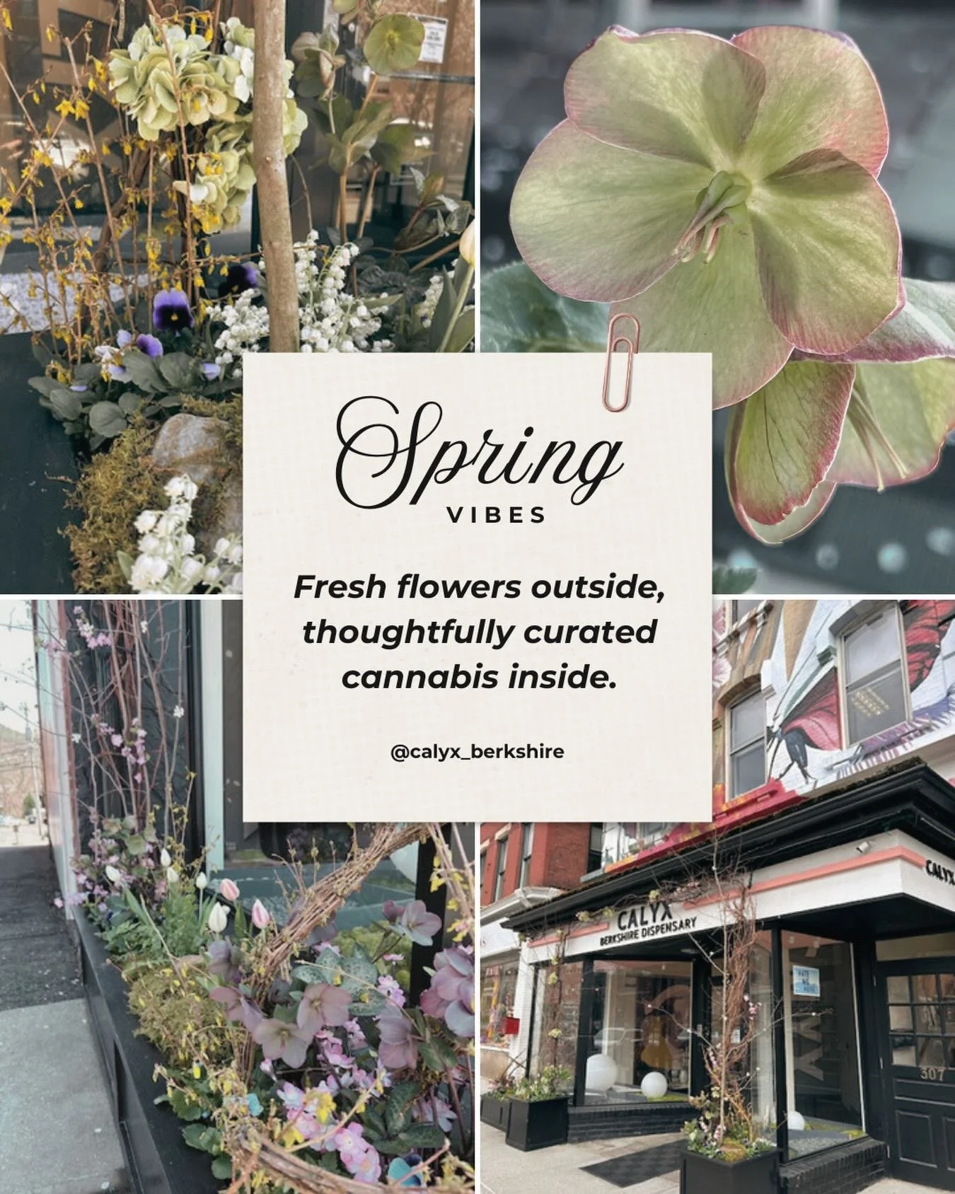 Hello Spring 🌸 
A new season is blooming in Great Barrington. Spring has arrived in the Berkshires. Stop by Calyx in Great Barrington for fresh drops, flower, and a little seasonal inspiration. 

#CalyxBerkshire
#GreatBarrington
#WomenOwned