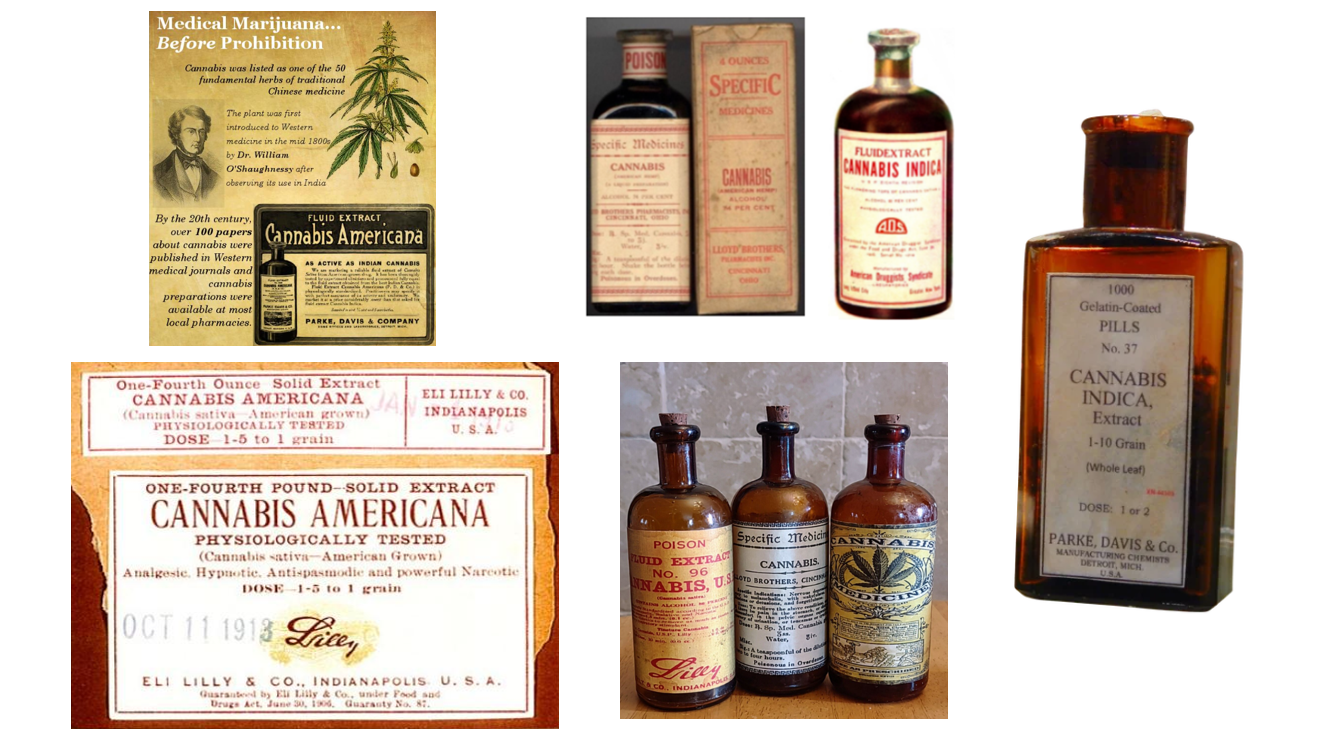 Cannabis medicines sold in American pharmacies before prohibition including tinctures, extracts, pills, and Cannabis Indica preparations