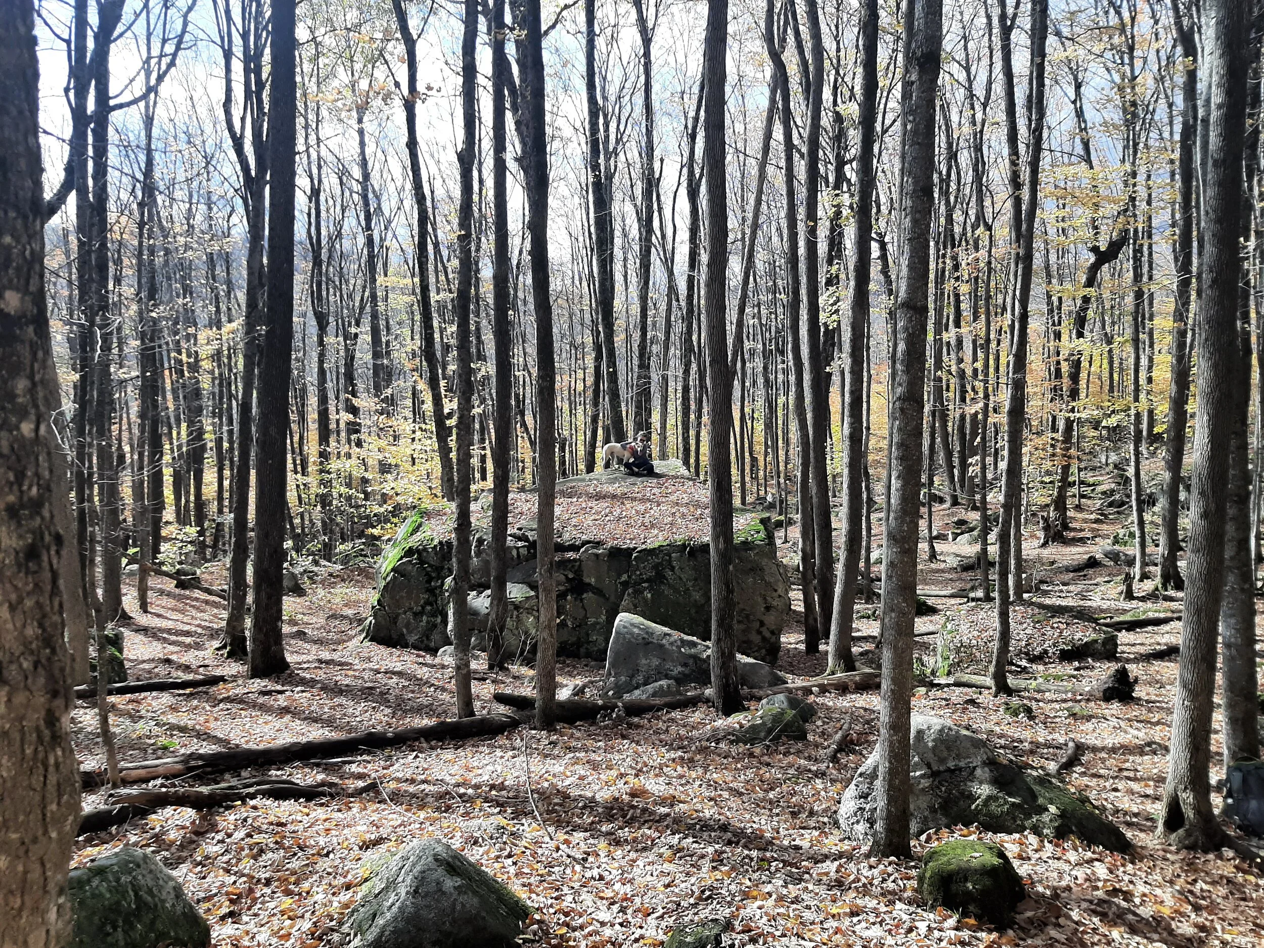 20201014_134753[1].jpg