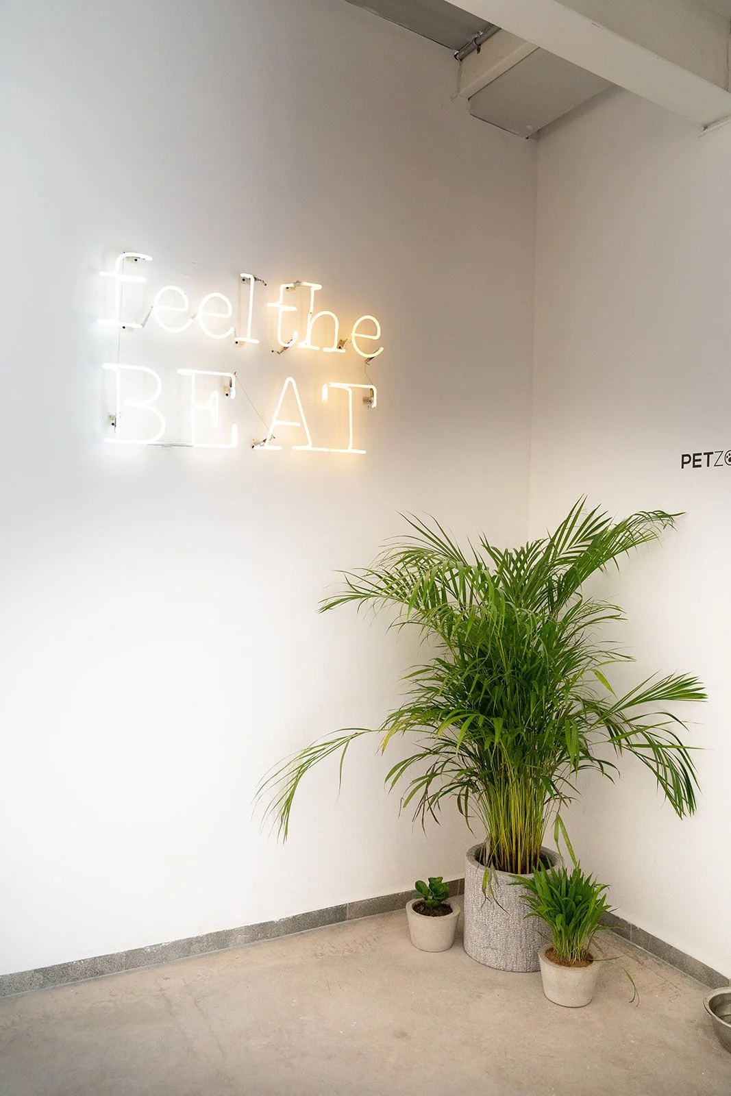 BEAT NUEVO-180_websize (1).jpg