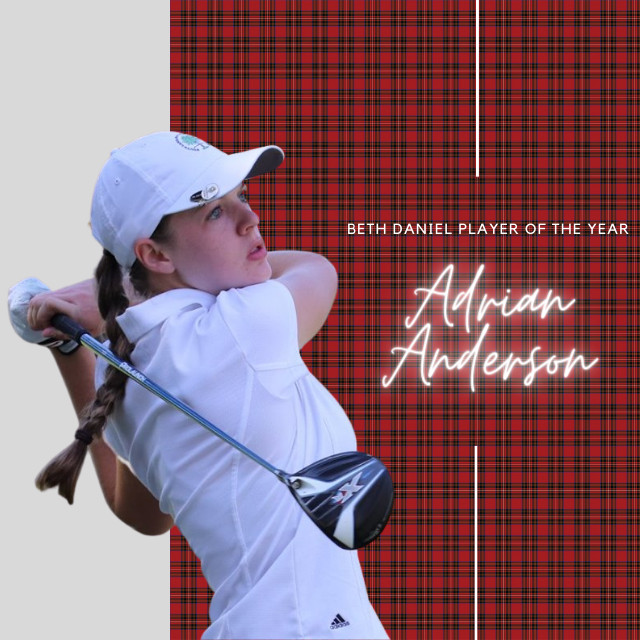 Max Green, Adrian Anderson are South Carolina junior Players of the Year