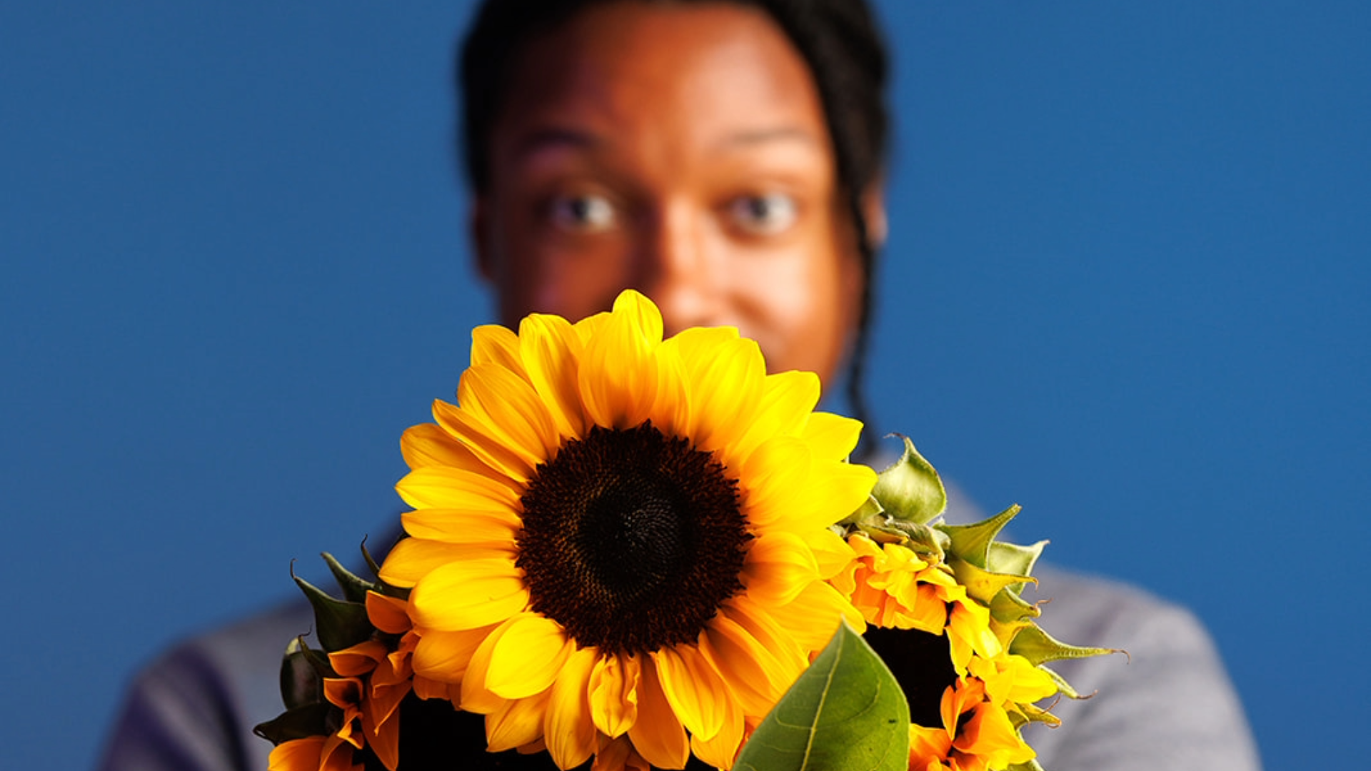 Close-up promotional photo for Josh Johnson's Flowers tour showing a person holding a vibrant bouquet of yellow sunflowers that obscure most of their face, against a solid bright blue background
