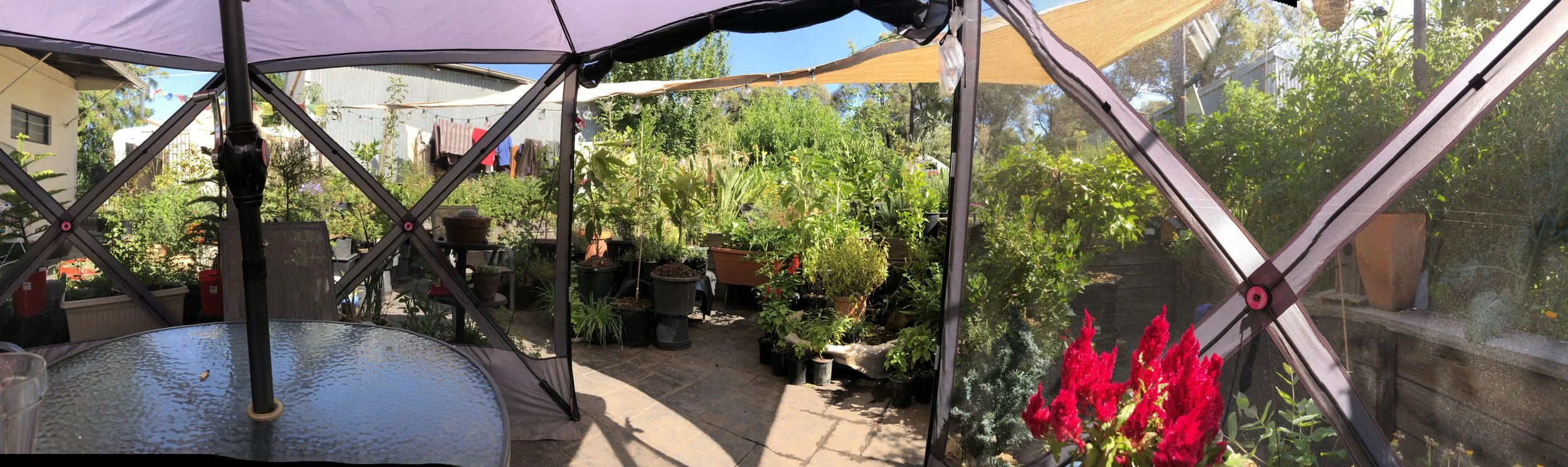 The outdoor area