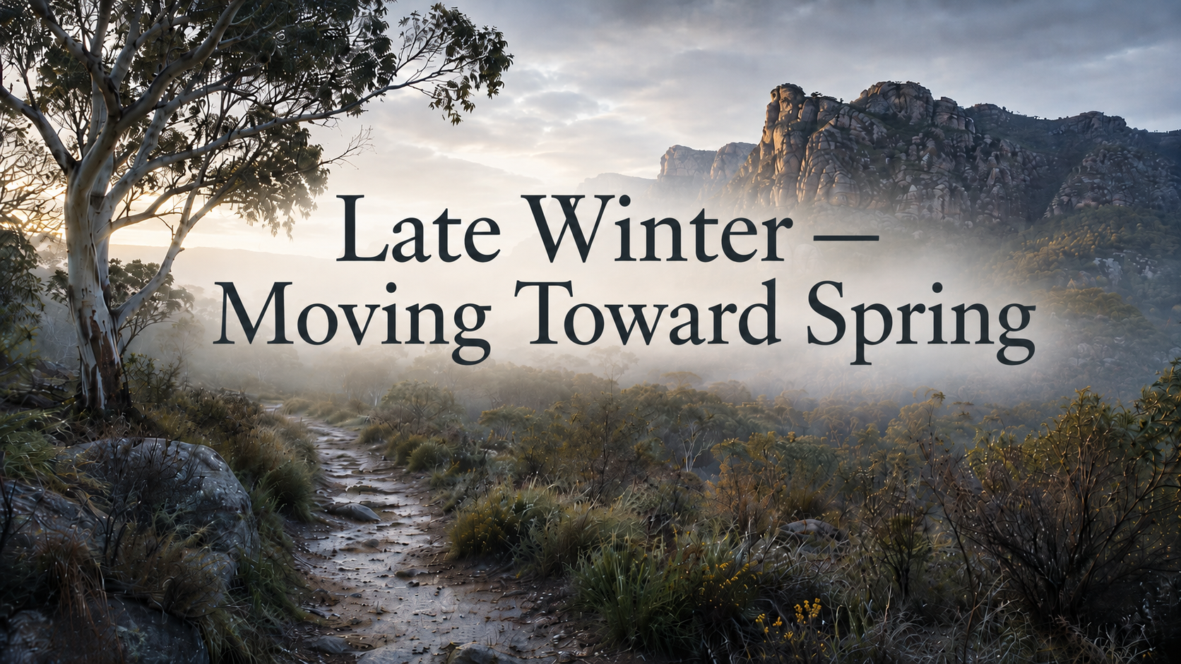 Late Winter - Journey of the Wheel