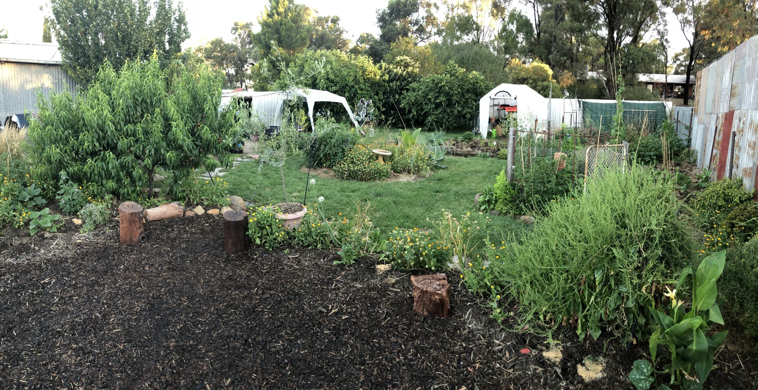 The Medicine Wheel at the beginning. Eventually it was a private area as the plants around it grew.