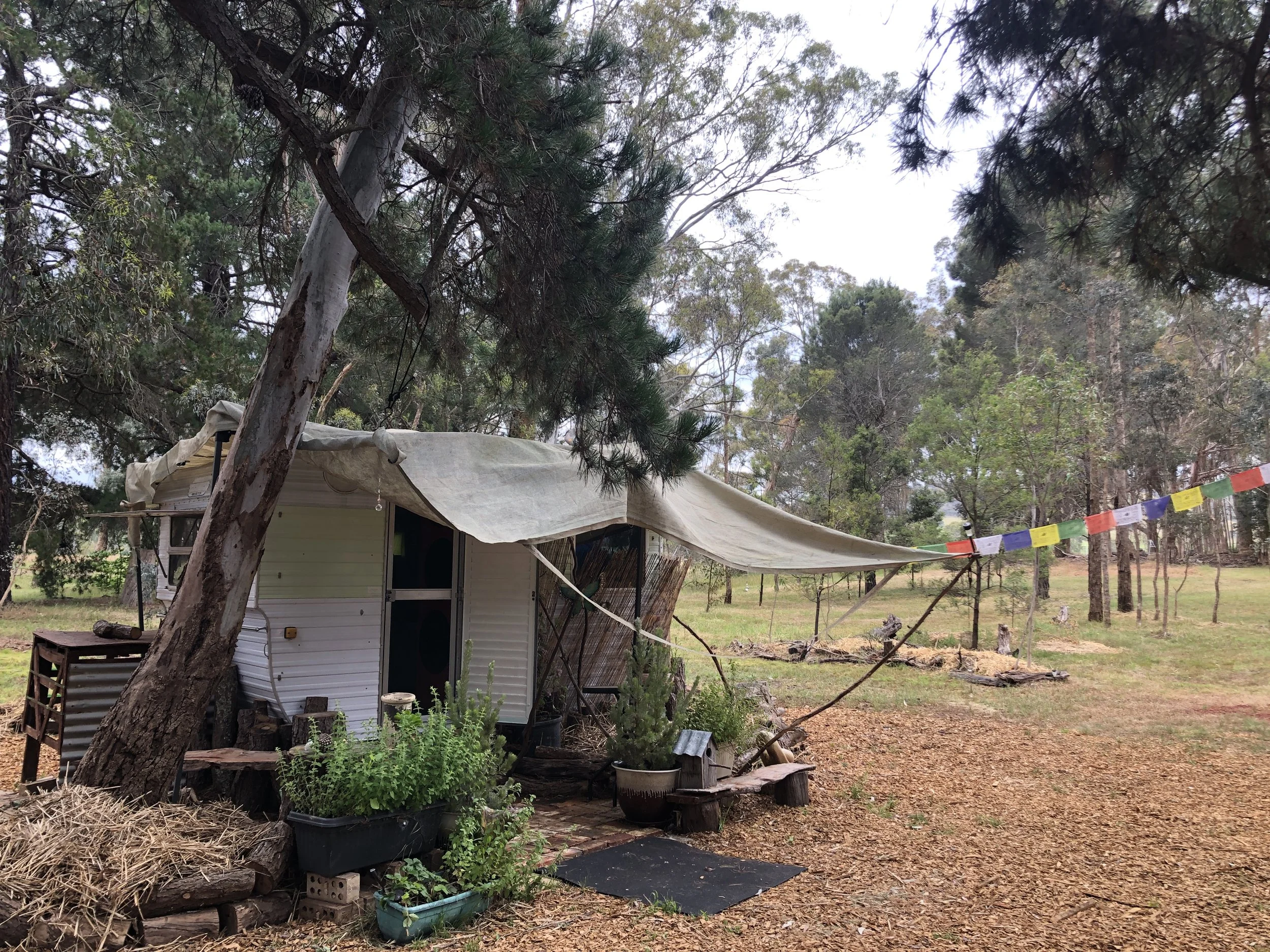 Wonderland Communal Area