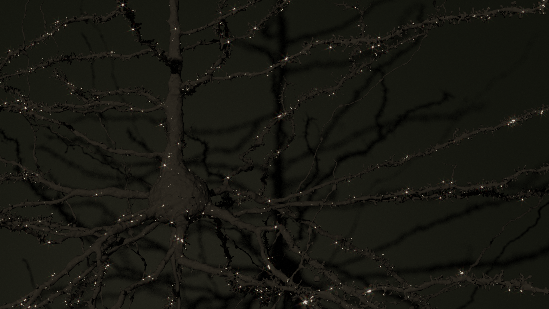 A rendering of layer 5 thick tufted pyramidal neurons where a subset of synapses are light up like lights on a christmas tree. Still frame from a movie that won an award in the BRAIN Initiative's Show Us Your Brains contest.