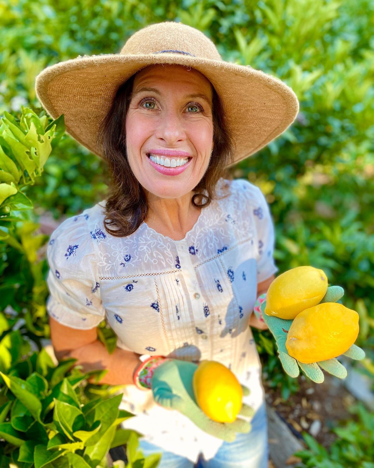 Let&rsquo;s bake something healthy using lemons 🍋! I love using seasonal ingredients to inspire my baking. Lemons are in season now in my garden so I&rsquo;m using them in lots of recipes. 🙋🏻&zwj;♀️What is growing in your garden? Do you have a fav