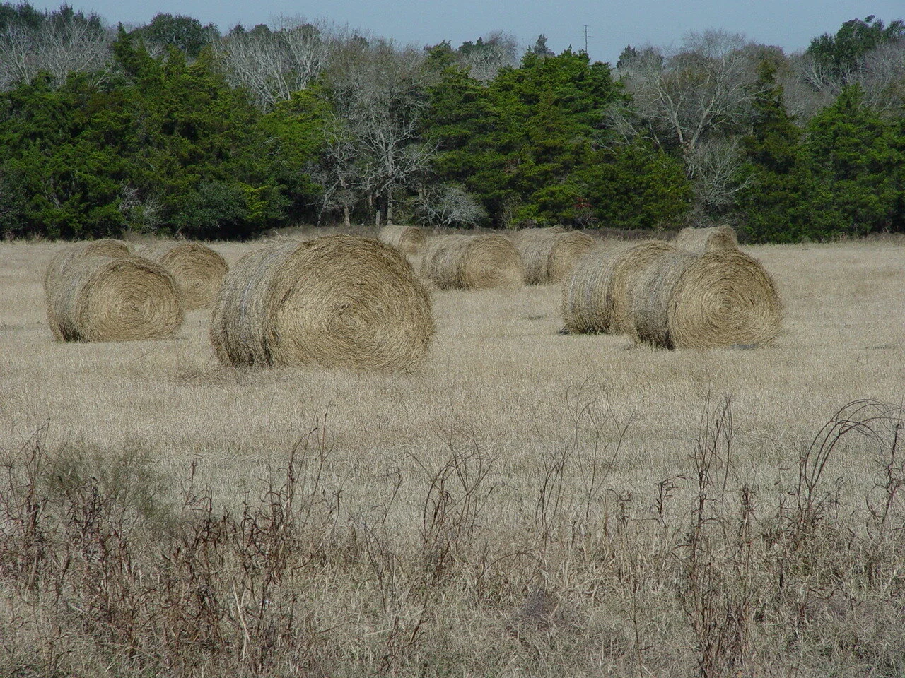 2007-12 10 Hay Rolls.jpg