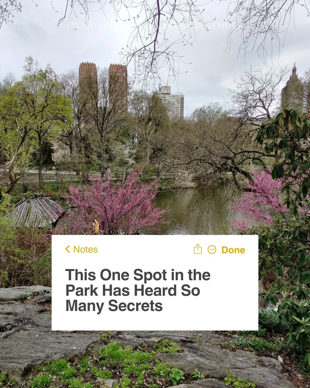 There&rsquo;s a hidden spot in Central Park we always ride past.

No signs. No crowds. Just trees, light, and stillness. 🌿
It&rsquo;s the kind of place that makes people pause.

And when they do, they talk.
We&rsquo;ve heard breakups.
Life advice. B