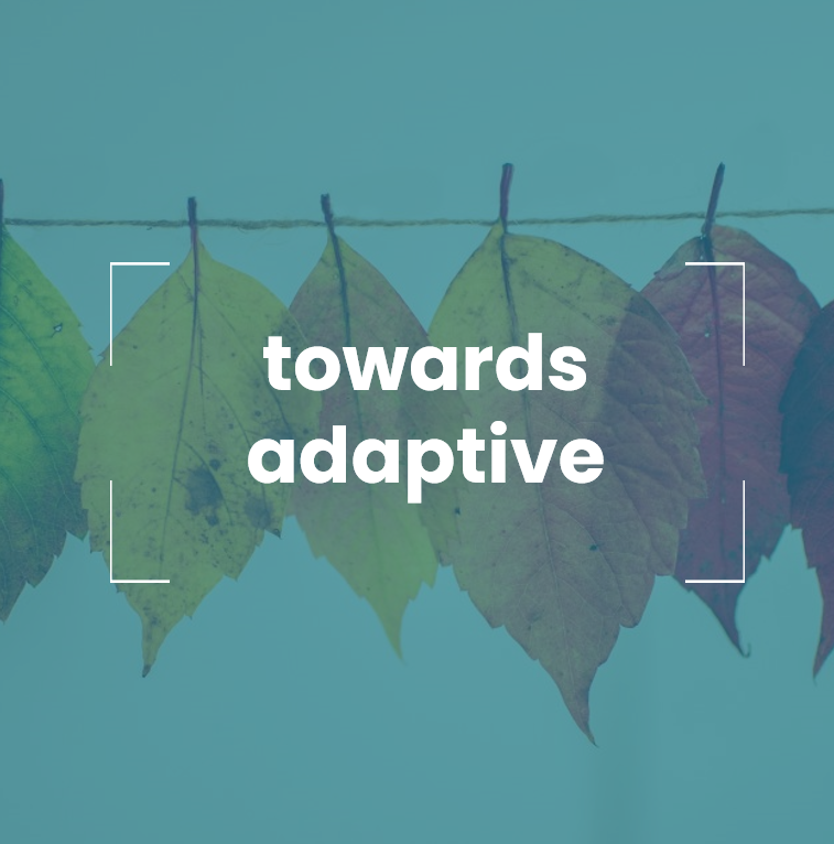 towards adaptive