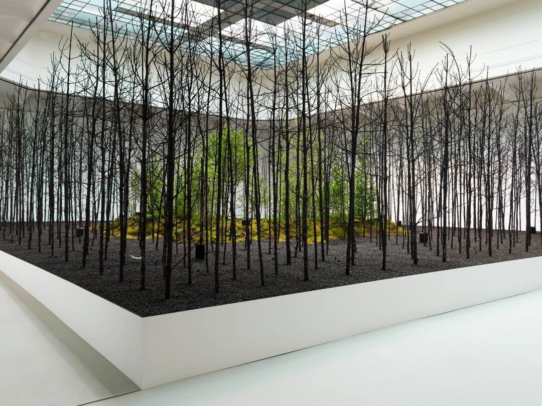 Invocation of Hope by @superfluxstudio 

More trees, this time in an even more blackened state. These spindly dead trunks are the remains of an Austrian forest fire, hauled by horses to Vienna to create a woodland graveyard. After the exhibition, apt