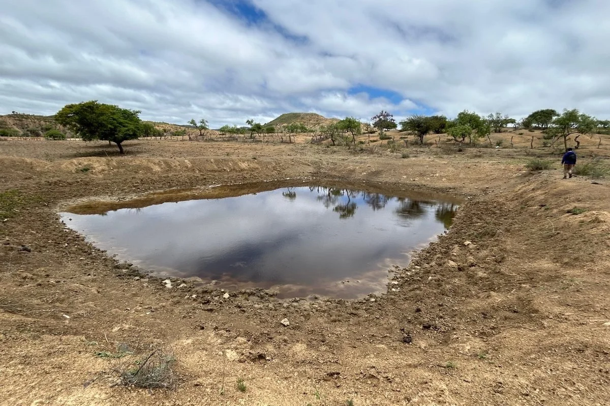 A shallow pond in San Julián Bajo used as a water source, shared with livestock