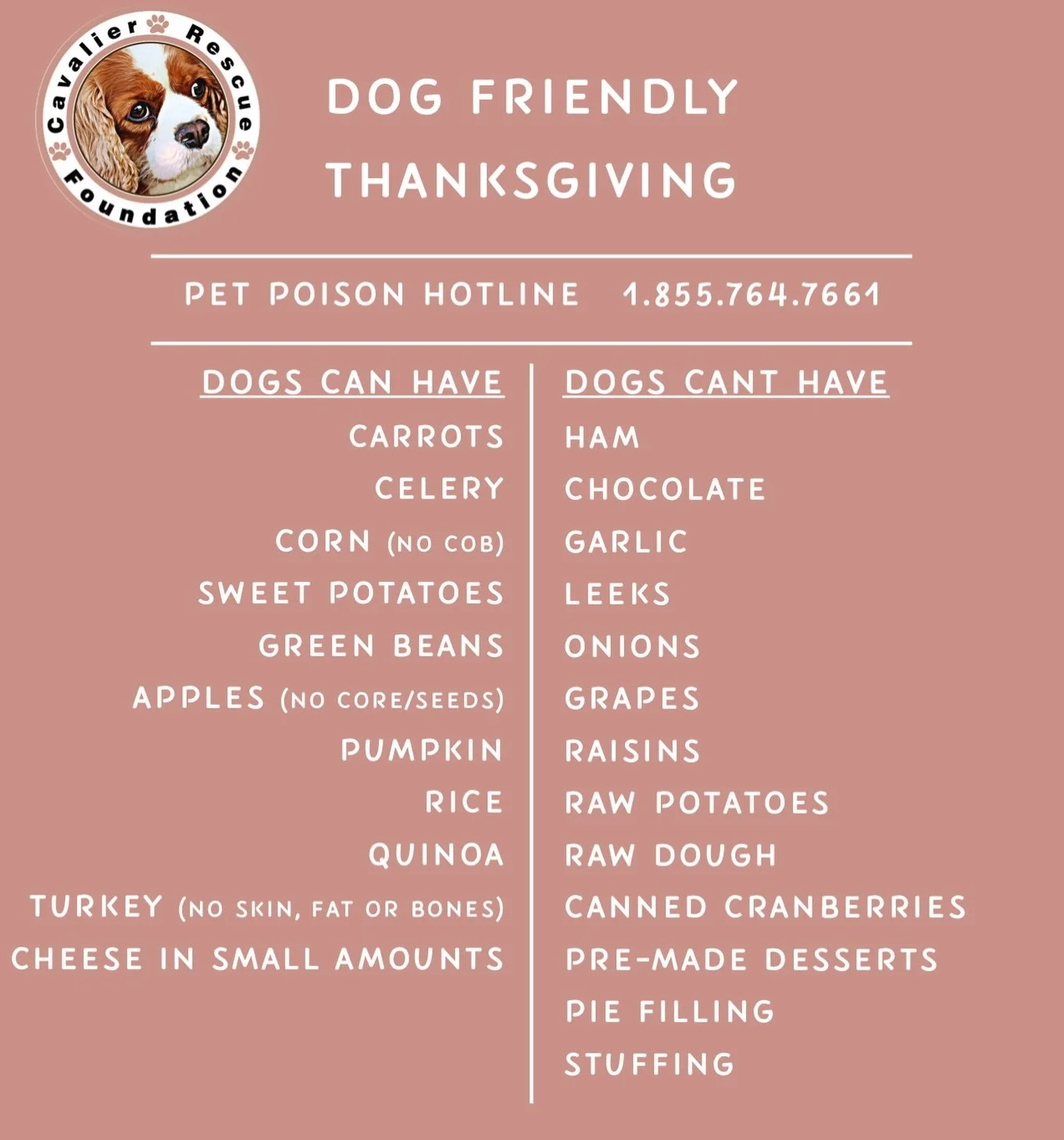 Tomorrow is Thanksgiving&hellip; but your dog has no idea. 🐶🦃

To them, it&rsquo;s just another Thursday &mdash; same stomach, same limits, same sensitive pancreas.

Your dog doesn&rsquo;t know it&rsquo;s a holiday&hellip; but they will pay the pri