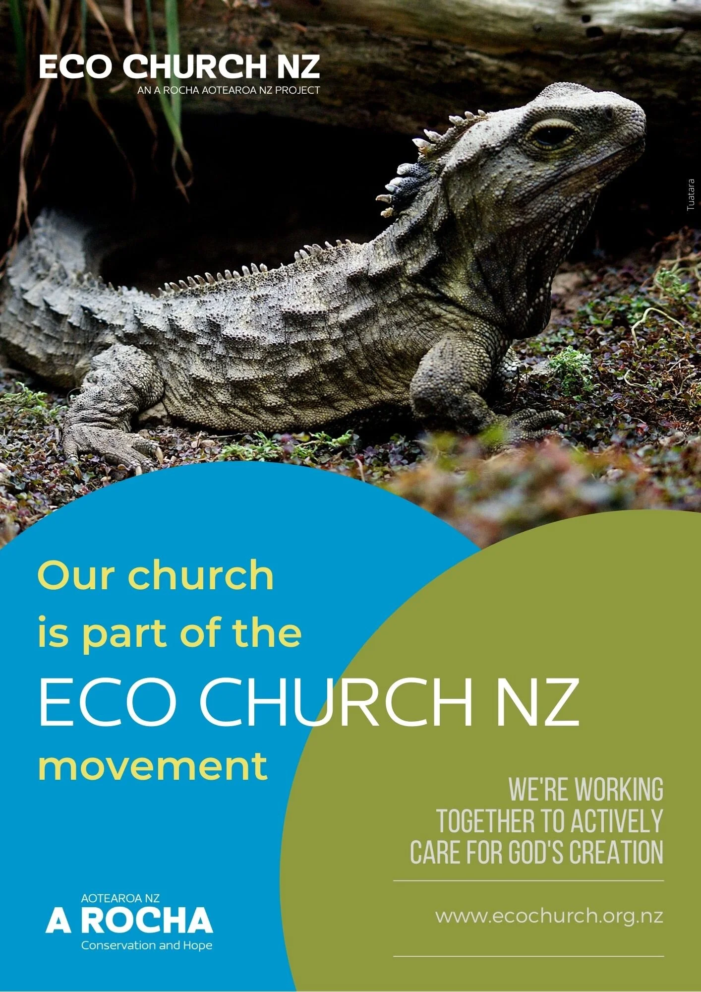 Eco Church NZ - Tuatara.jpg