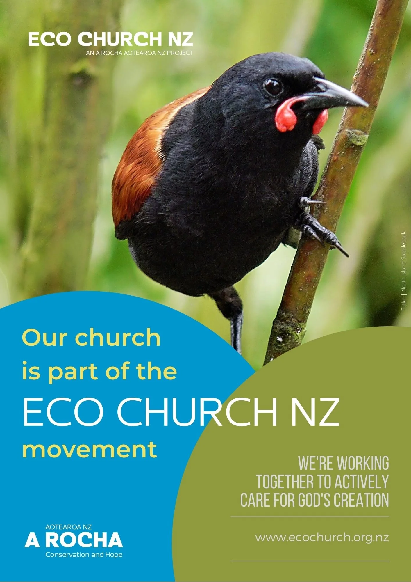 Eco Church NZ - Tīeke.jpg