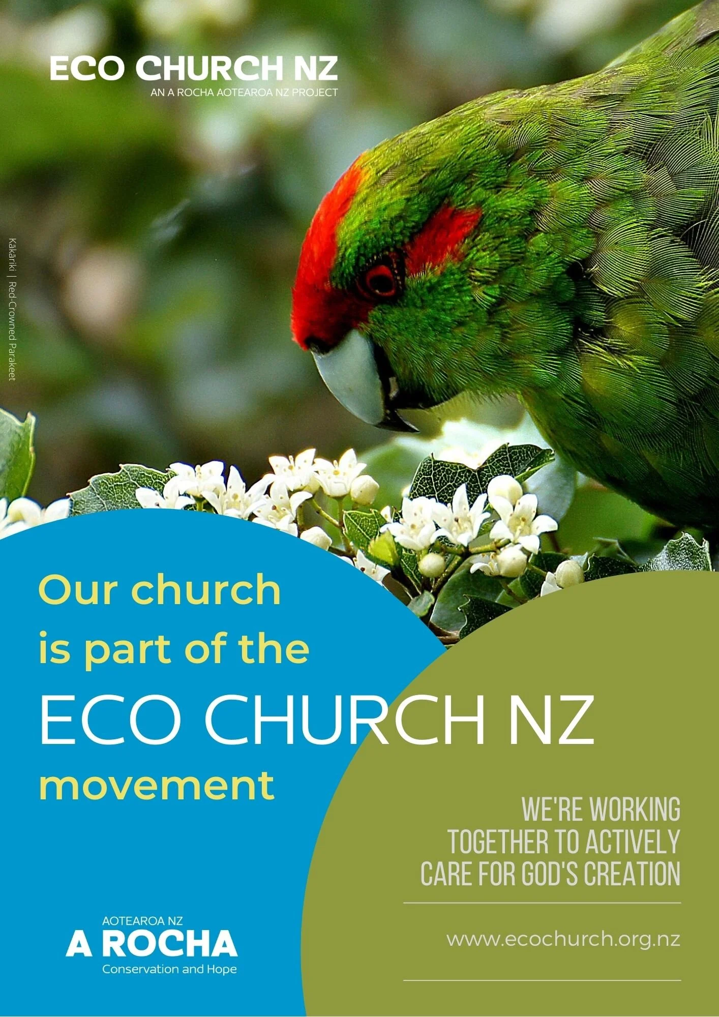 Eco Church NZ - Kakariki.jpg
