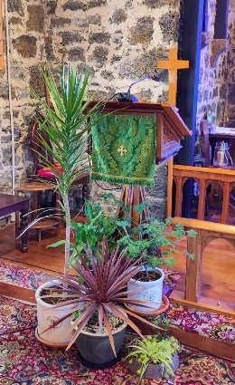 Highlights of the Season of Creation at &nbsp;Hemi Tapu