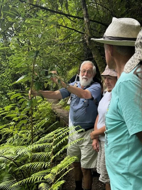 Albany Presbyterian Church Fernhill Escarpment nature walk