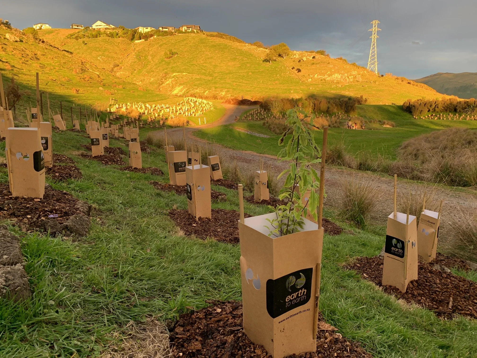 Christchurch: Eco Church Regenesis Planting Day