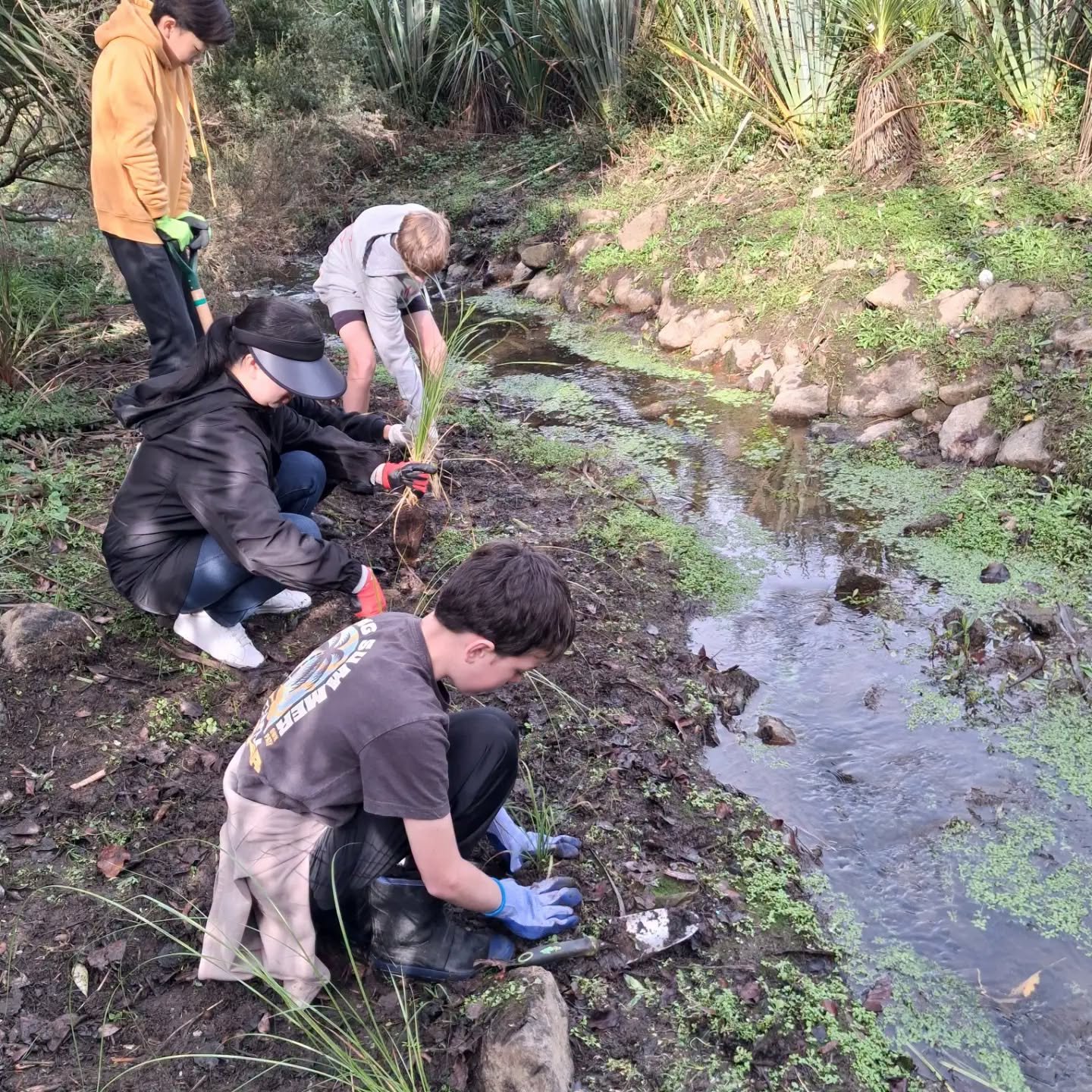 Young people taking action for conservation