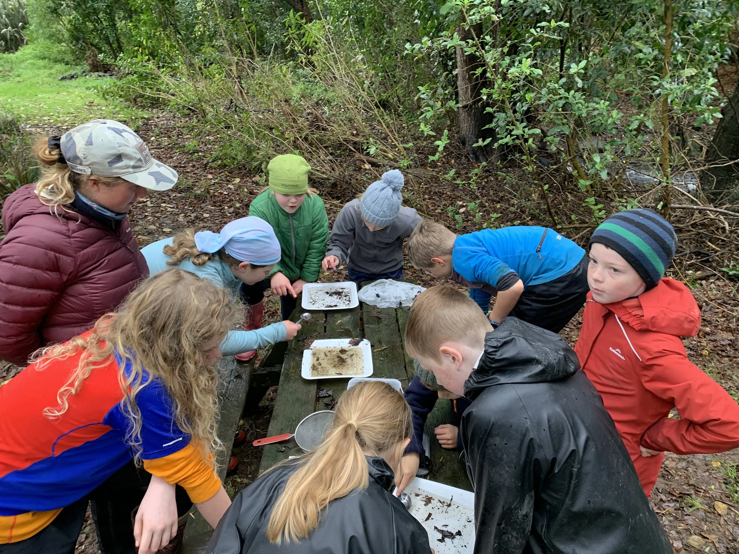 More macroinvertebrates