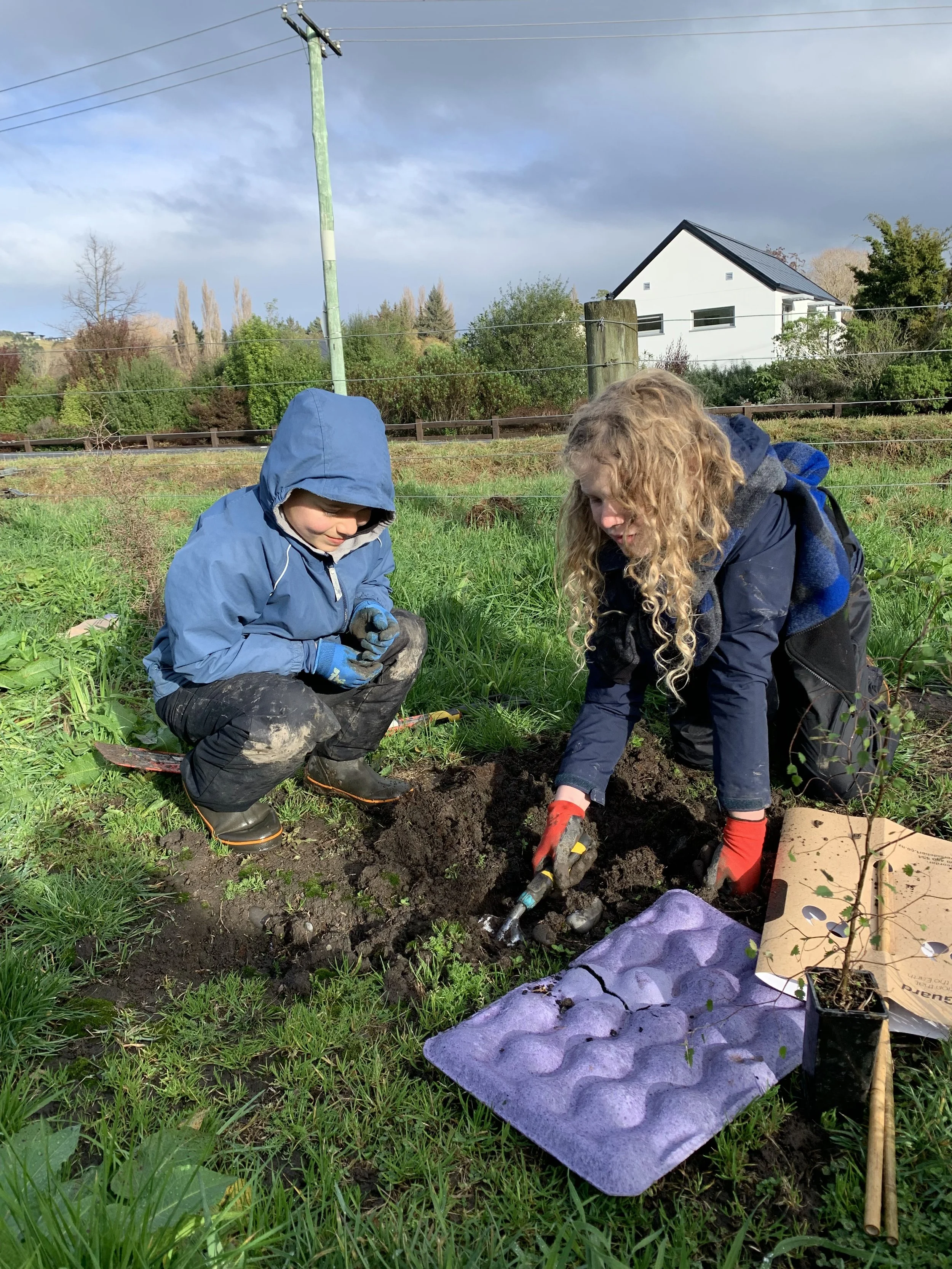Tree planting